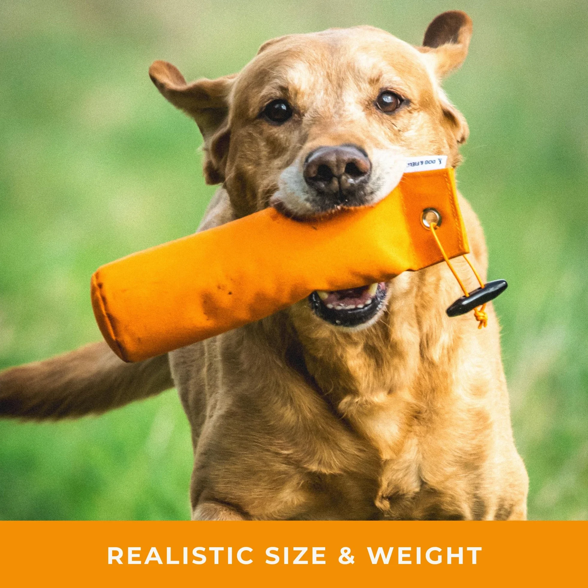 Dog & Field Ciuccio da addestramento per cani da 0,5 kg, viola, in tela, con levetta corta e lunga, per addestramento di cani da caccia e cuccioli, attrezzatura per addestramento di cani da caccia,