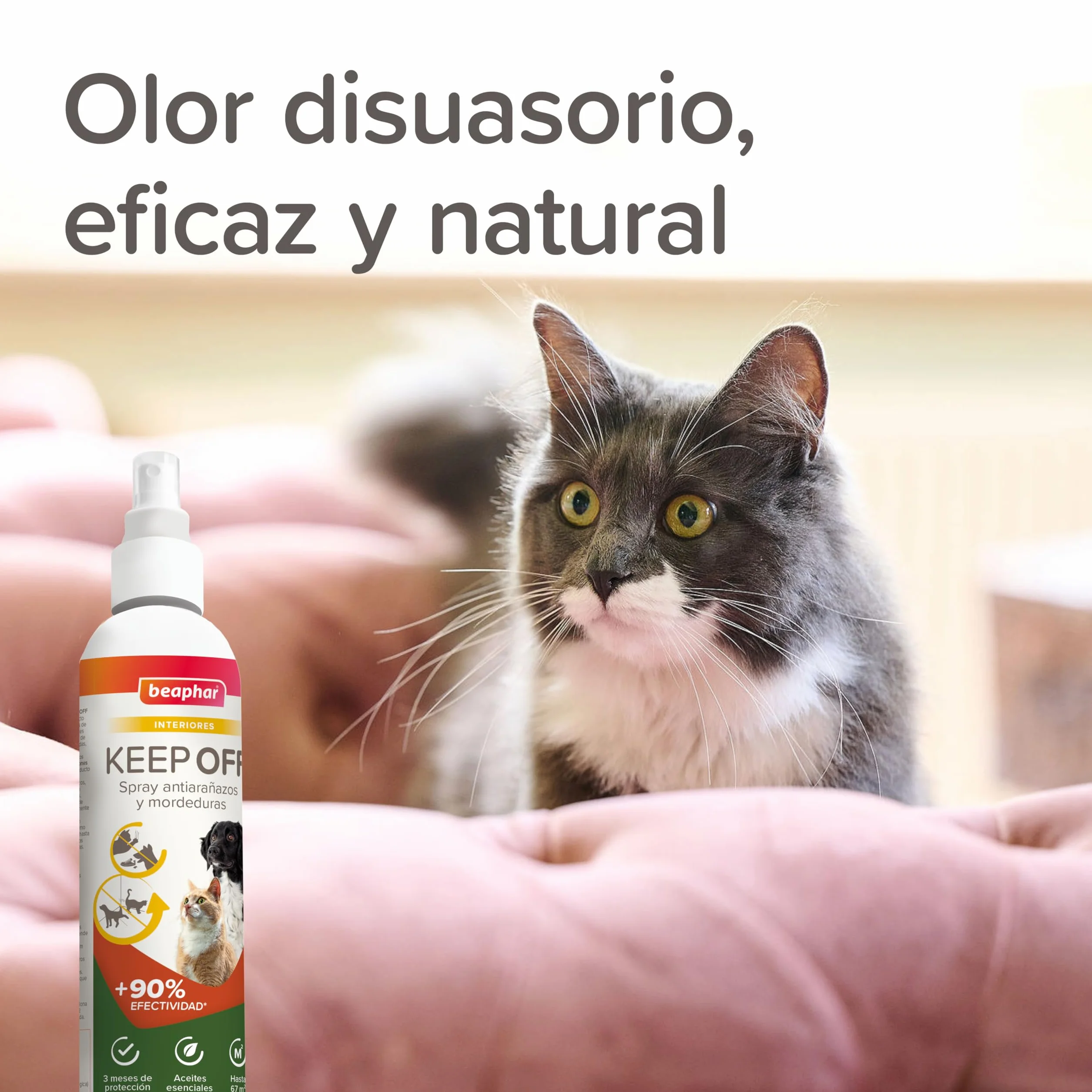 Beaphar Keep off - Spray Educatore Gatti e Cani - AntiGraffio - Antimuffa - Frena Le Cattive abitudini - Proteggi divani e mobili - Efficacia Repellente Immediata - con Oli Essenziali - 200 ml