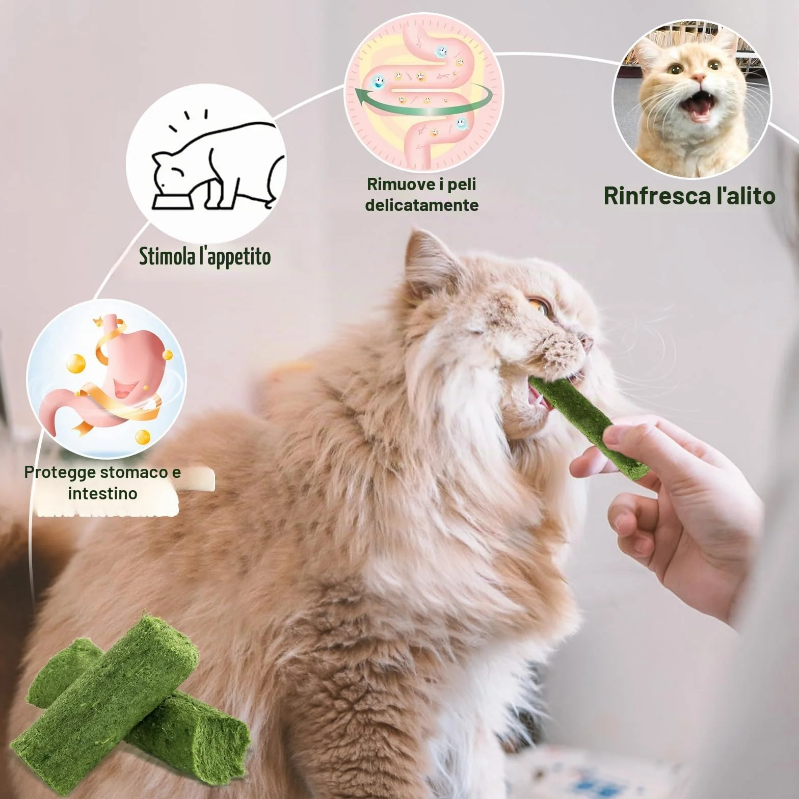 30g Bastoncini di Erba Gatta Liofilizzato, Snack per Gatti Erba Gatta per Gatti Pronta per Elimina Boli di Pelo e Pulizia dei Denti