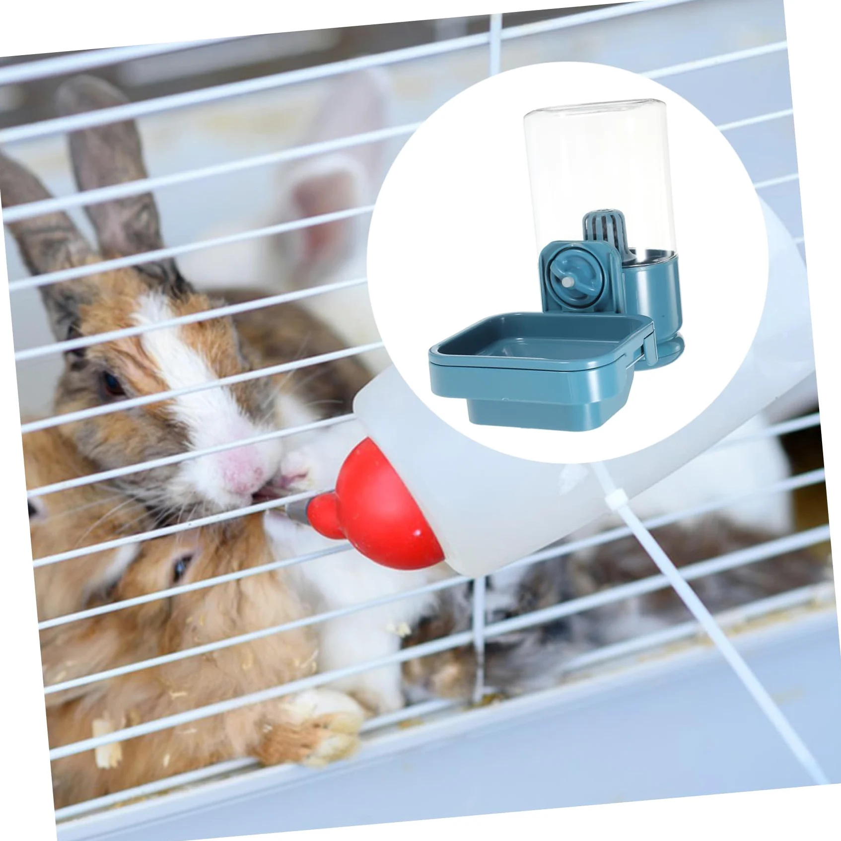 Abaodam Distributore Acqua Per Conigli Mangiatoio Per Piccoli Animali Abbeveratoio in Dispositivo Alimentazione Conigli Dispenser d Acqua Per Gabbia