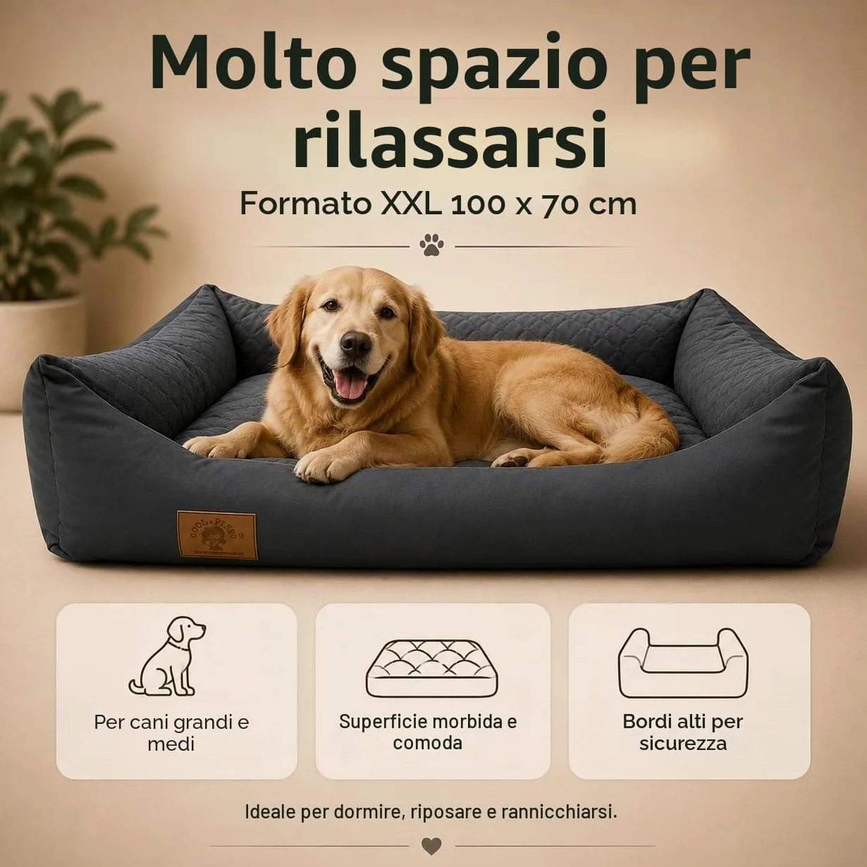 Odolplusz - Cuccia per cani XXL, cuscino per cani, divano per cani con cuscino reversibile (dimensioni e colore a scelta)