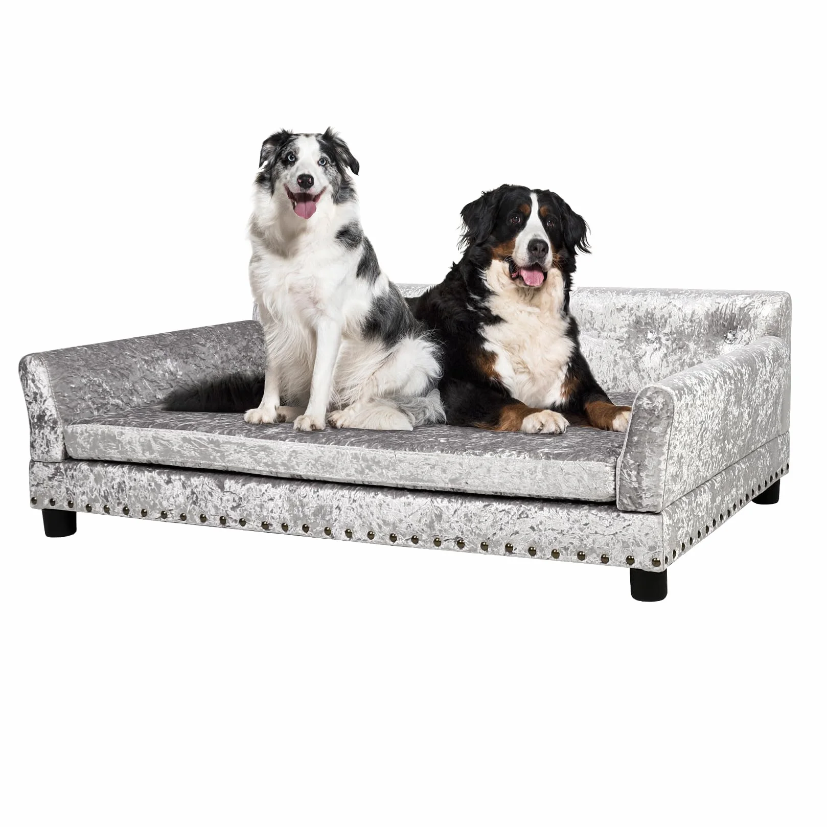BingoPaw Lusso Divano per Cane Velluto: XL Divanetto Imperiale Taglia Grande Cuccia Chic Poltrona per Cani Rialzato Divano Poltroncina Cani con Morbido Cuscino, Argento Grigio 120x74x40cm
