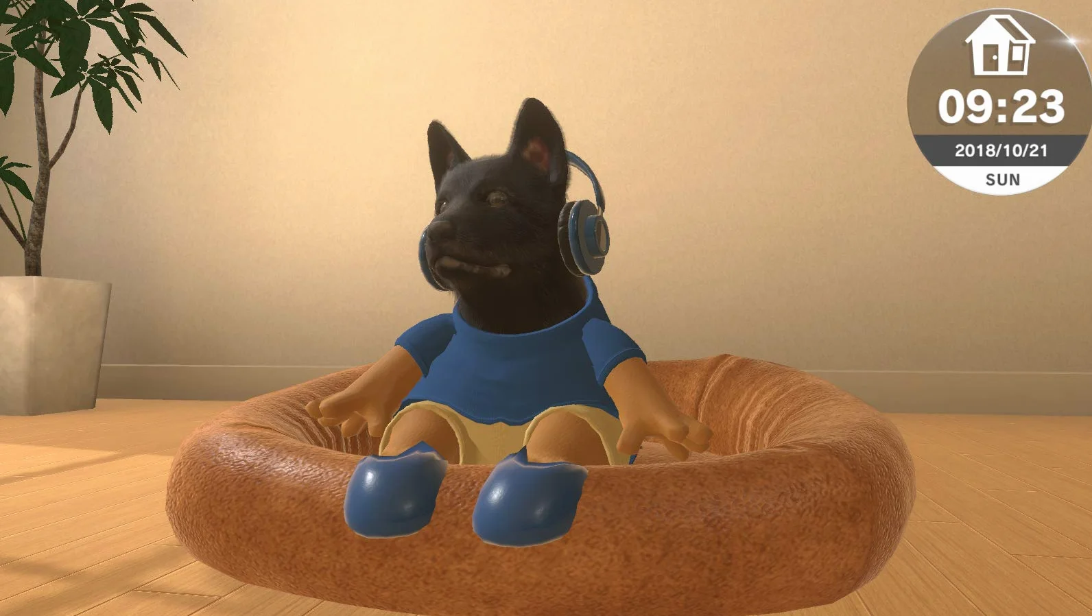 Little Ukiends Switch per cani e gatti (versione francese)