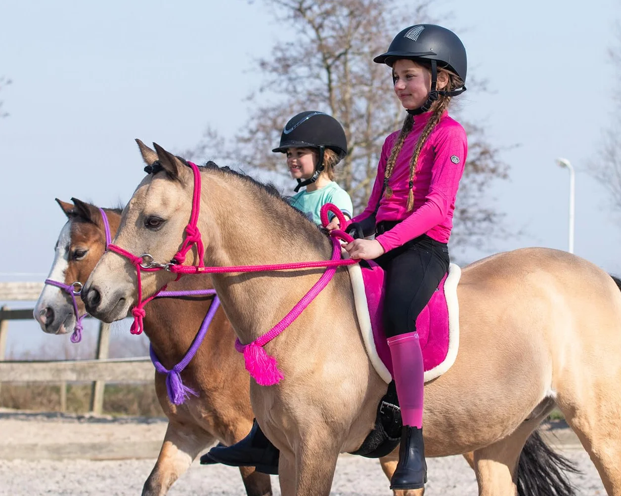 Bareback Pad (sella per monta naturale) (FULL, Fucsia)