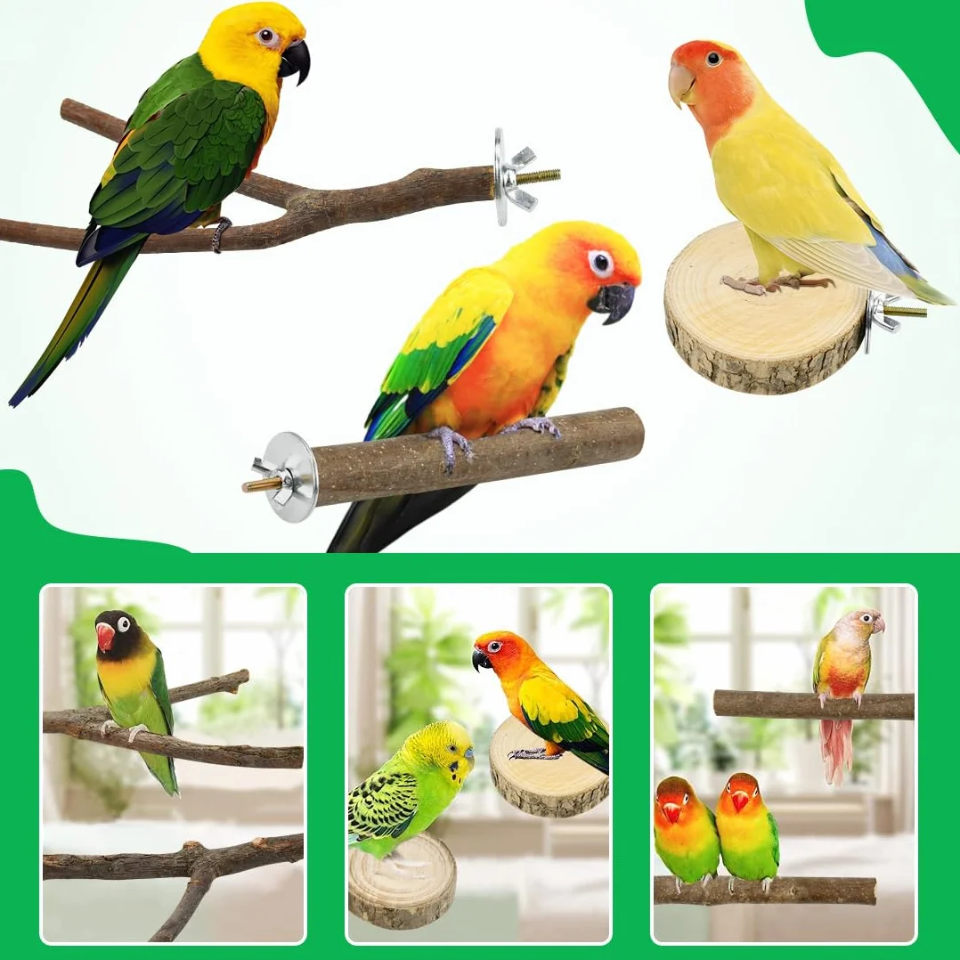 8 Pezzi Posatoi in Legno di Uccelli Trespoli in Legno Naturale per Pappagallo Posatoio per Pappagalli Trespolo Supporti per Uccelli per Fringuelli Pappagalli Calopsitte Parrocchetti