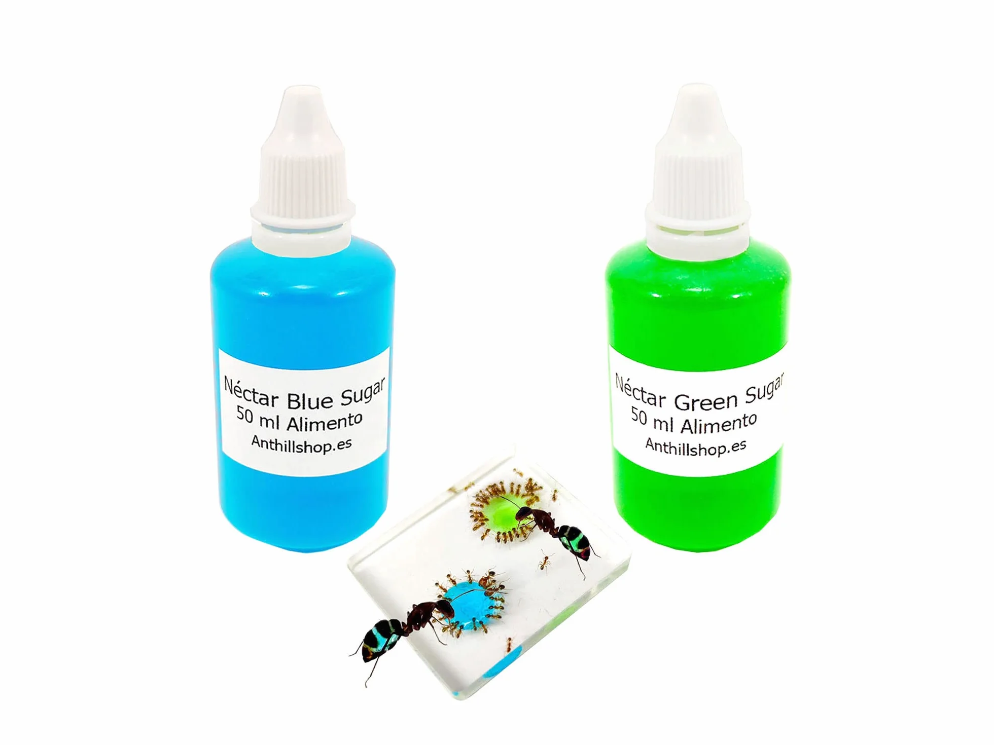 Mangime per formica Ottimo e irresistibile. Nuovo nettare di zucchero blu e verde, confezione risparmio con 2 bottiglie da 50 ml