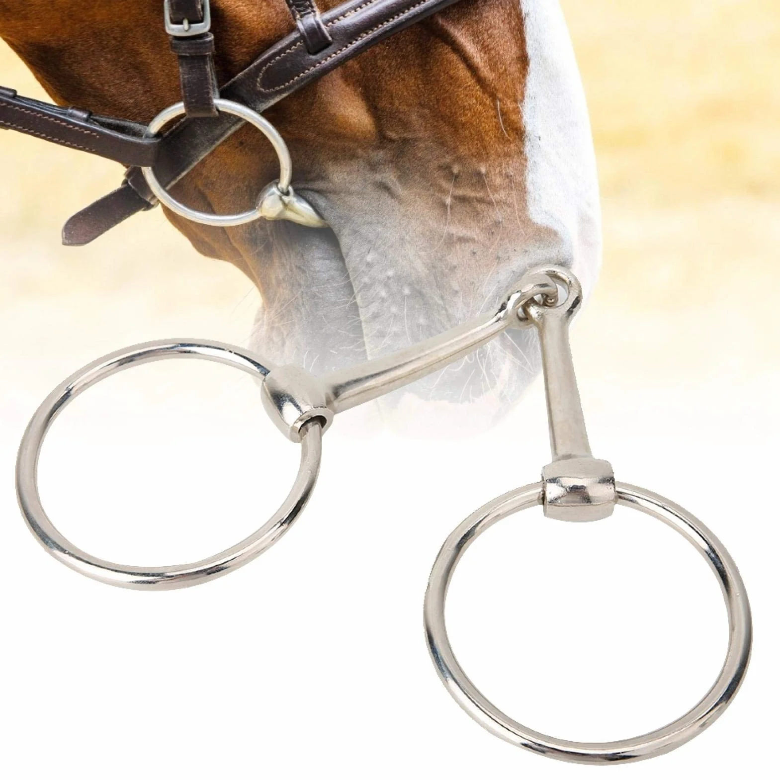 Filetto ad Anello per Cavallo in Ferro Bocca snodata Cava per Forniture equestri