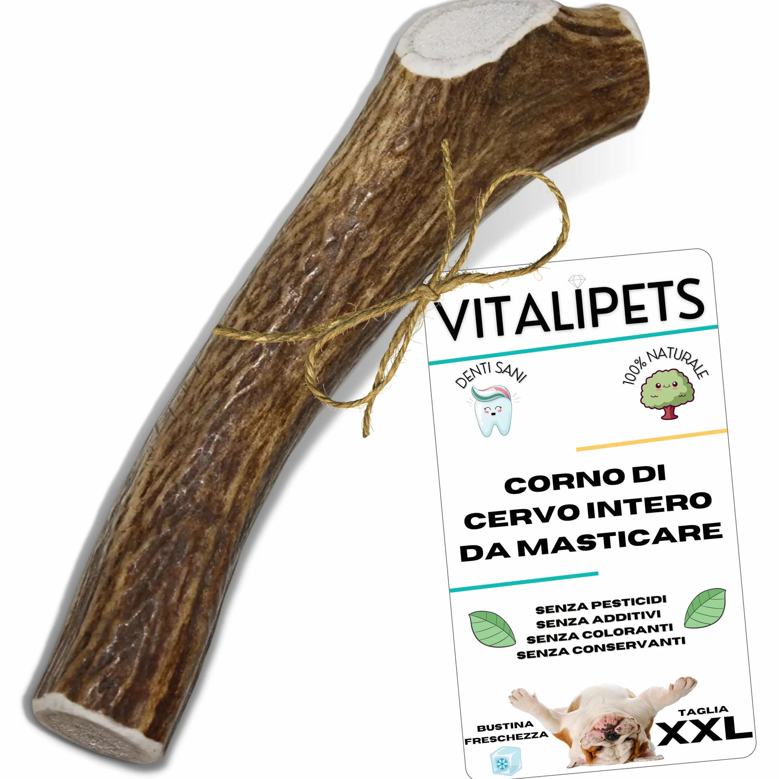 Corno di Cervo per Cani XXL Più di 35 Kg, Pulizia Denti Naturale, Alternativa agli Ossi