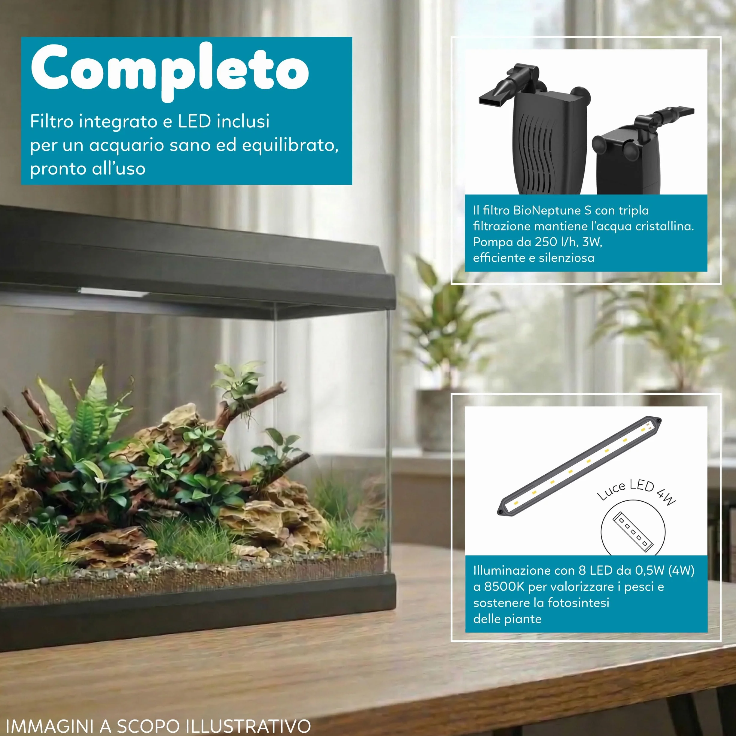 AQPET Acquario in Vetro per Pesci Tropicali Completo di Accessori Filtro Luce Simply, 30 39x22x30 cm 30 Litri