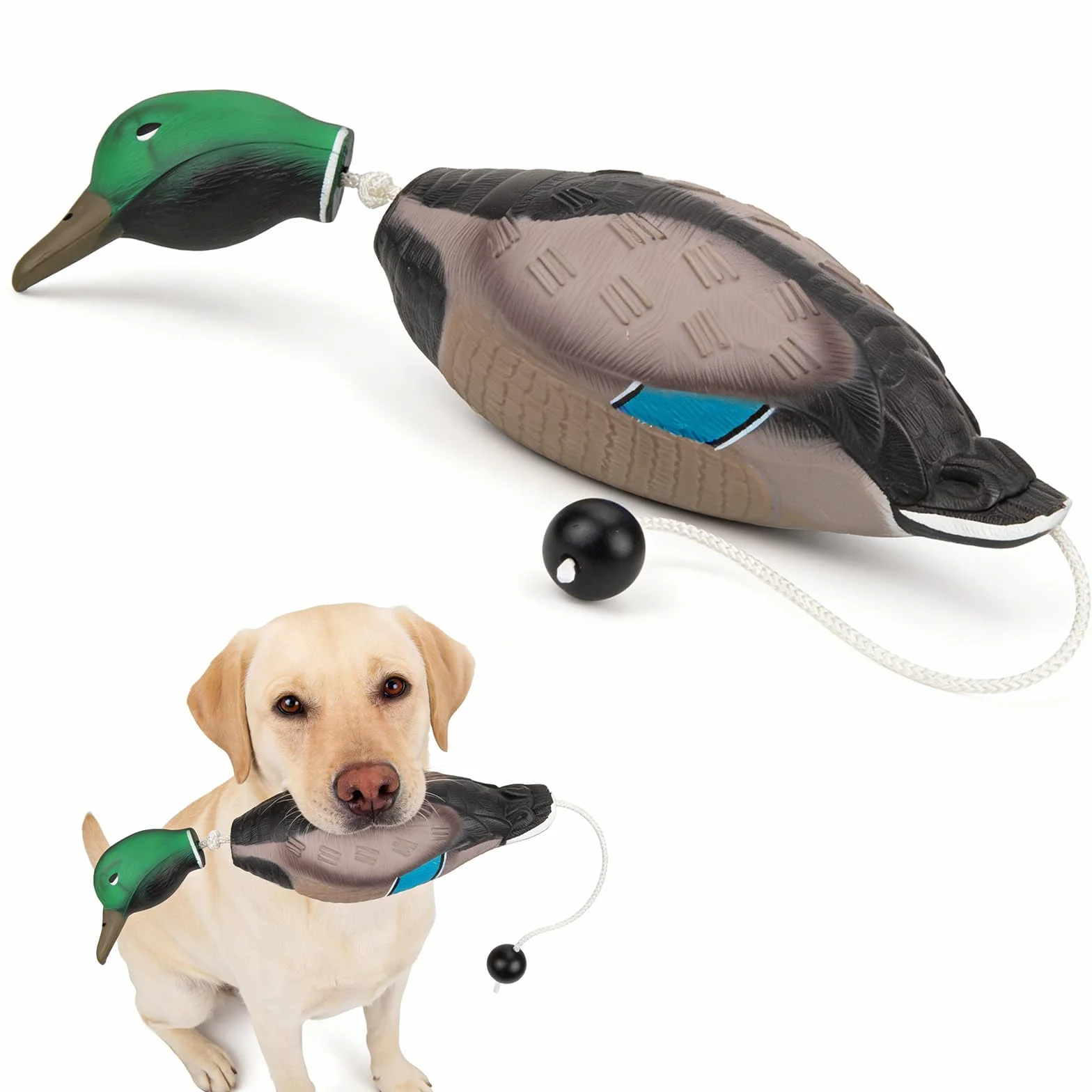 Dummy per Addestramento Cani, Dummy da Riporto Anatra con Codolo da Lancio, Dummy Impermeabile per Addestramento Cani, Anatra in Eva, Finto Cercitore per Cuccioli oi da Caccia Adulti