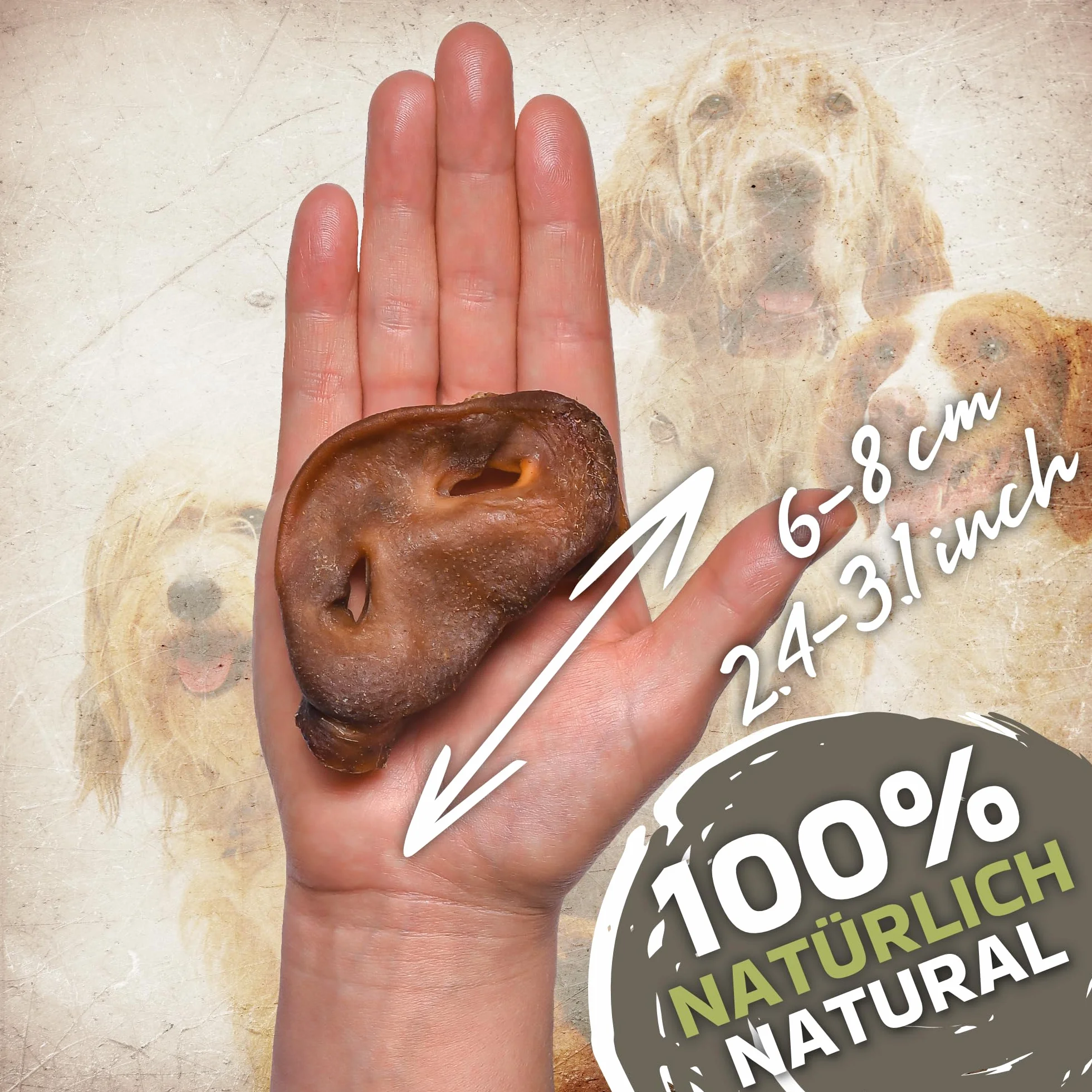 Naso di maiale prodotto naturale per cani, snack sani per la cura dei denti, fonte di proteine, ideale per dieta e lavoro a lungo termine (500 g (confezione da 1)