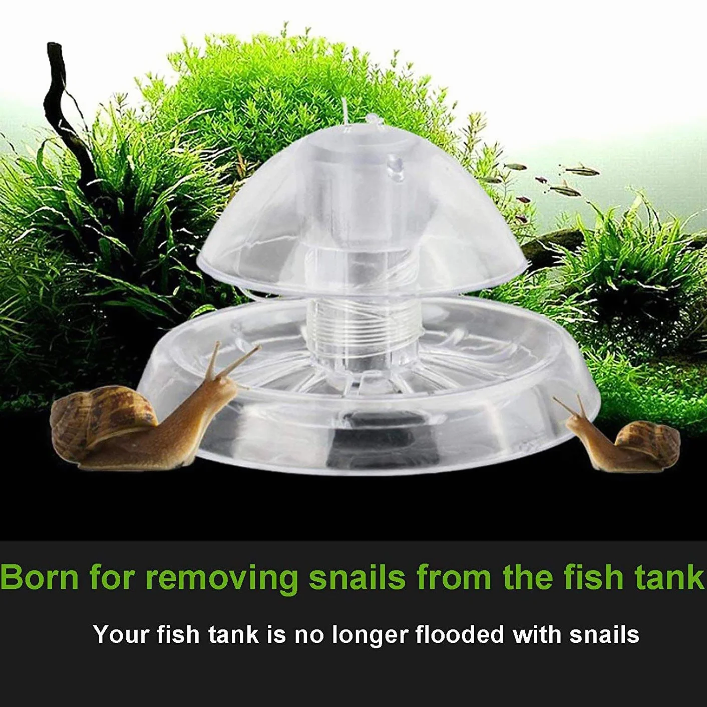 2 Pezzi Trappola per Lumache per Acquario Acquario Plastica Trasparente Trappola per Lumache Acquario Piante Planarian Sanguisuga Catcher 6 Cm