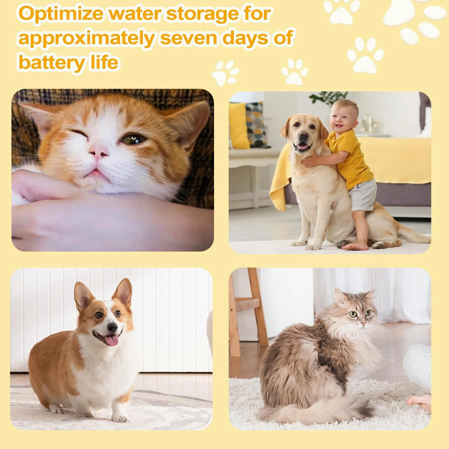 Cat Water Dispenser,Intelligente e Silenziosa con Filtro per Gatti,Erogatore d'acqua automatico per gattini | per Cani Gattini Cuccioli da Interno Casa Soggiorno Angolo