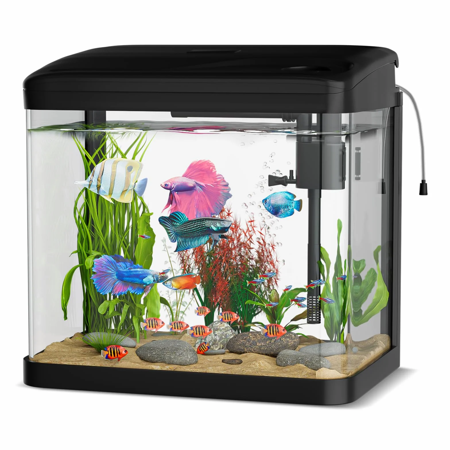 Acquario Piccolo in Vetro, Ambesty 10L Completo Acquarios Per Pesci Rossi, Fish Tank Tartarughe D'acqua con Illuminazione a LED e Sistema di Filtraggio, Nero, Principianti Mini Acquario Completo