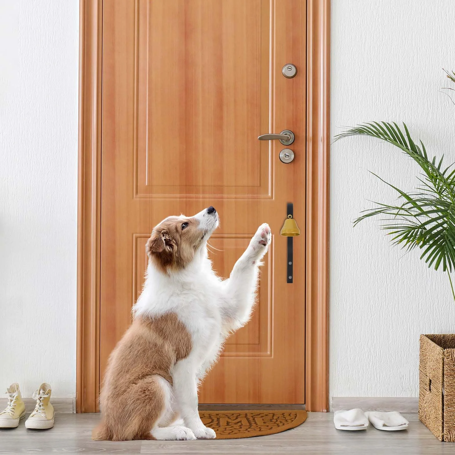 Colexy Campanello Antico Campanello per Negozianti Campanello da addestramento per Cani, Campanello per Porta d'ingresso del Negozio per Decorazione Domestica, Cane vasino (Nero)