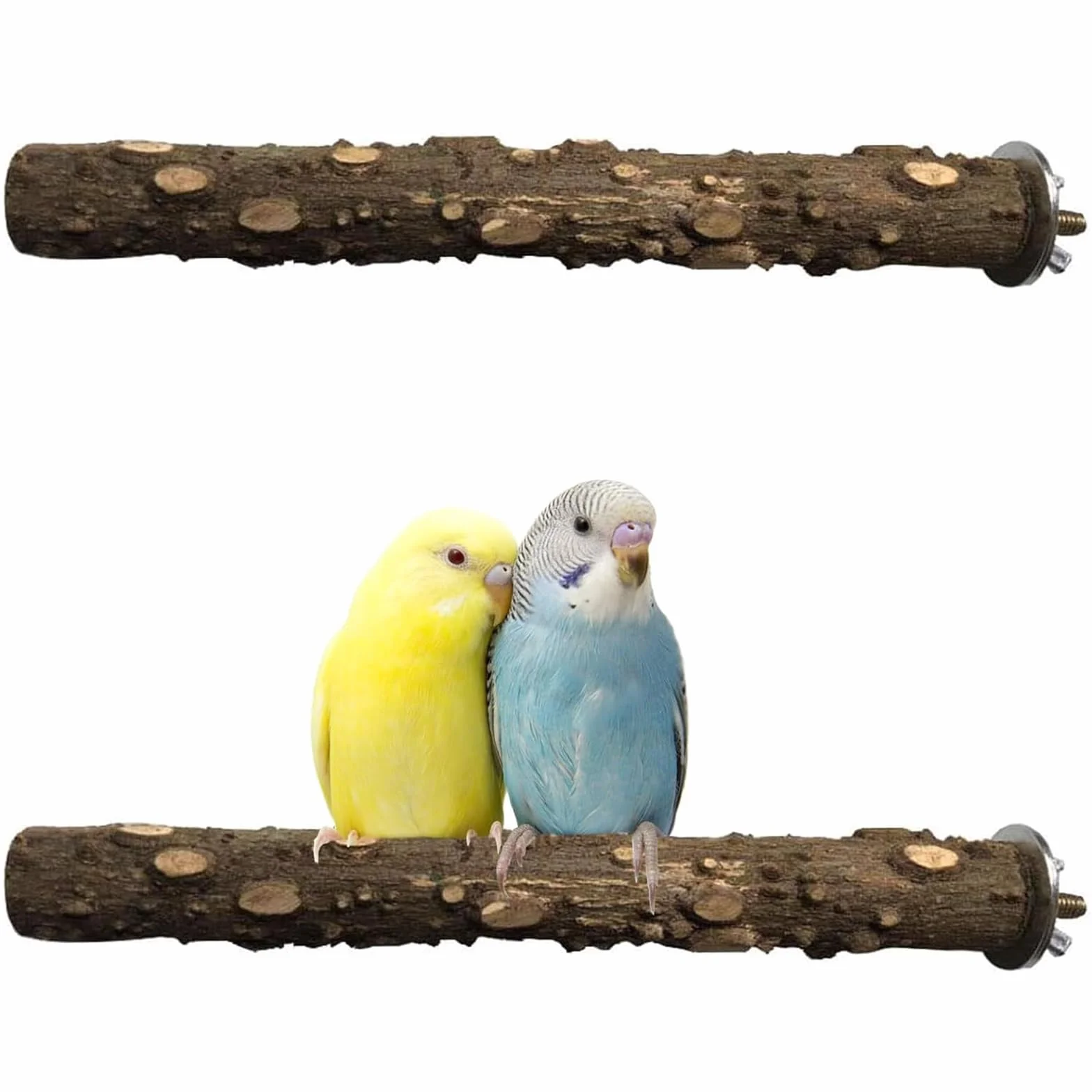 Trespolo Per Pappagalli, Posatoio Per Pappagalli, Gabbia Pappagalli, Giochi Per Pappagalli, 2 Pezzi Posatoi In Legno Naturale, 20cm, Supporto Per Arrampicata Per Parrocchetti