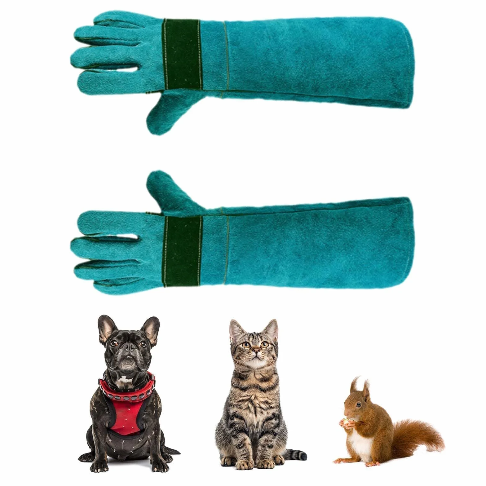 Guanto di Pelle AntiGraffio 35cm per Animali Antimorso Cane Addestramento Alimentazione Verde Scuro