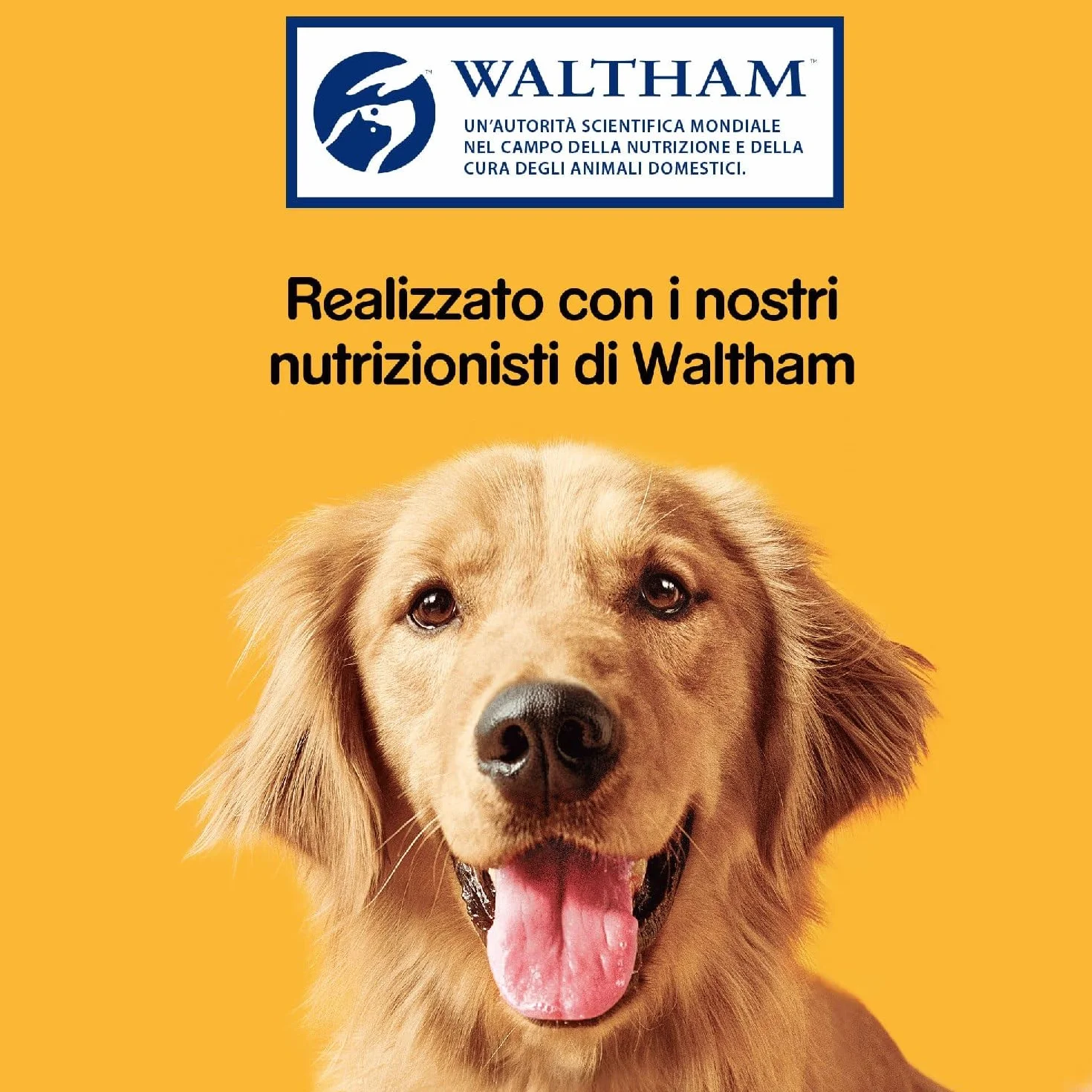 Pedigree Markies Snack, Biscotti per Cane, Confezione da 12 x 500 g