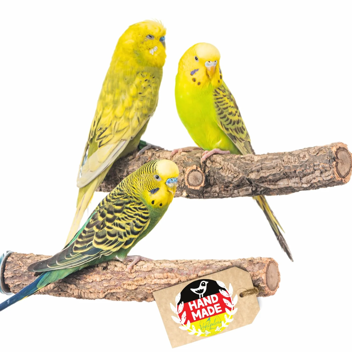 Vogelgaleria® 2 posatoi in sughero con corteccia di sughero per sedersi e sgranocchiare, per uccelli e uccelli, per la cura degli artigli, in sughero