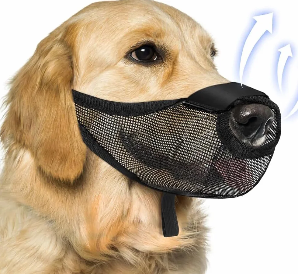 Museruola Cane Traspirante Rete Regolabile Sicurezza Addestramento Cani Taglia Grande Prevenzione Morsi Protezione