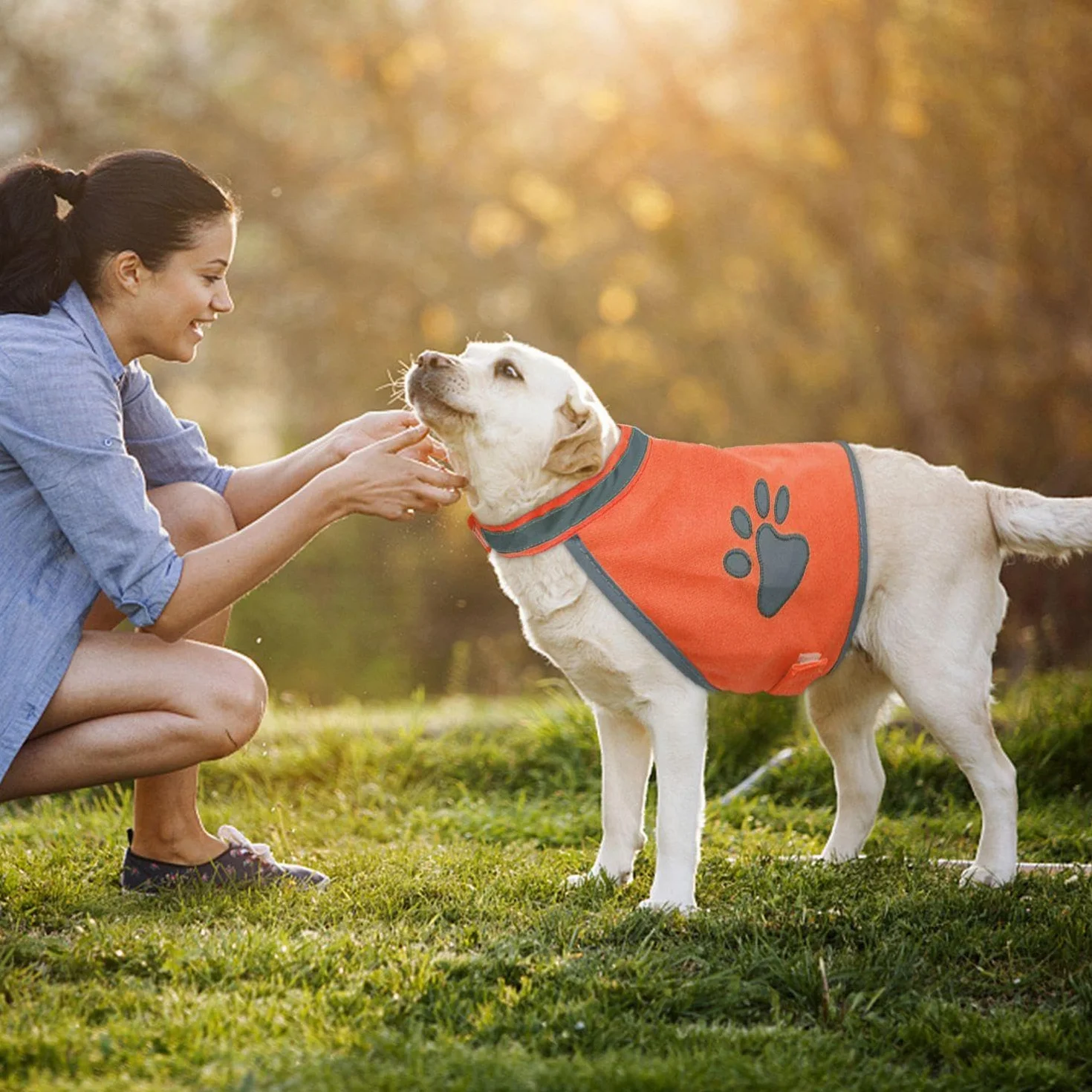 2 Pezzi di Vestiti Riflettenti per Cani, Gilet di Sicurezza da Viaggio per Animali Domestici, Vestiti per Animali Domestici, Gilet per Animali Domestici Traspirante E Confortevole