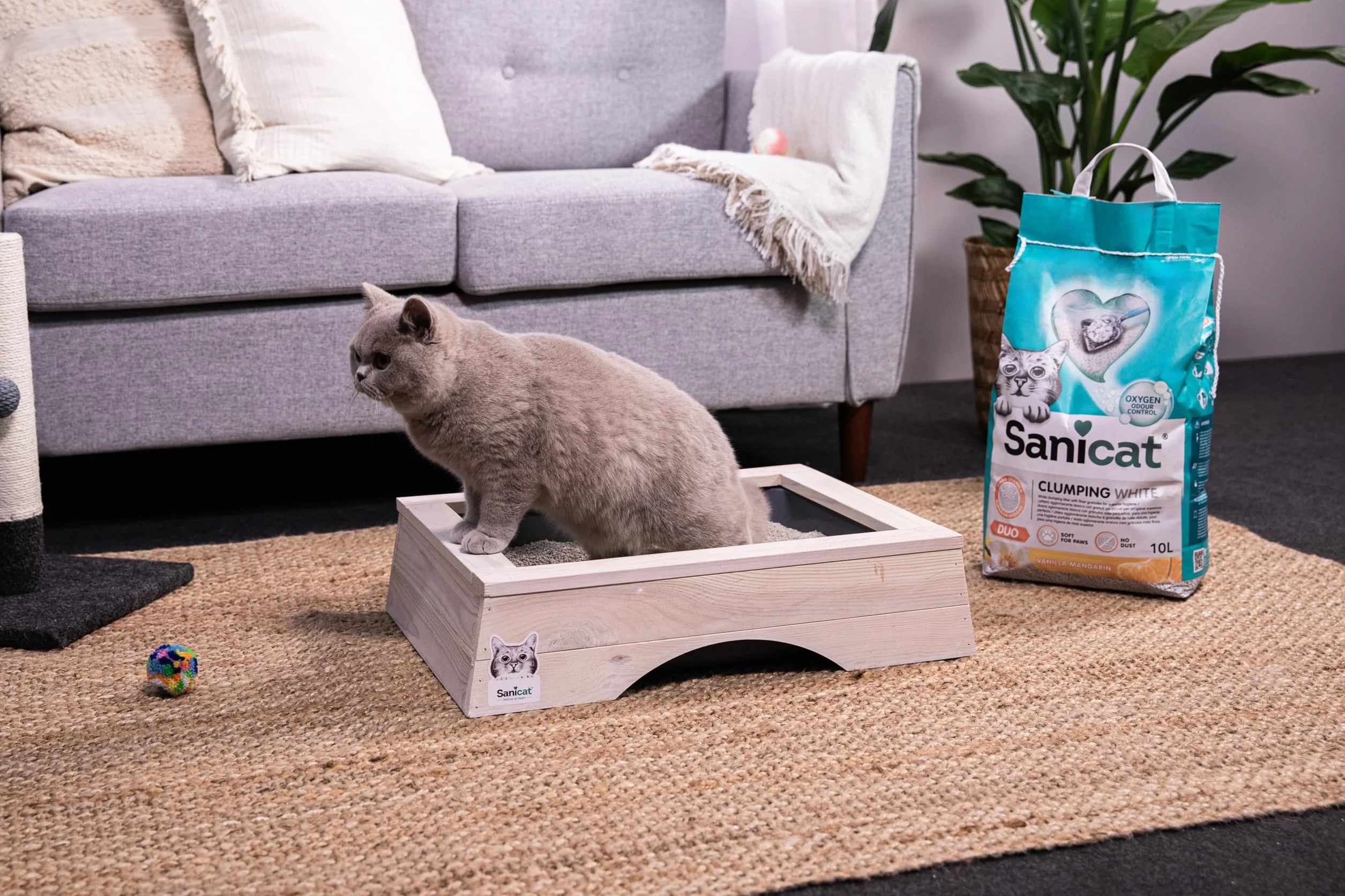 Sanicat - Lettiera per gatti agglomerante a grumi | Formbianca all’aroma di vaniglia e mandarino | A base di minerali naturali | Assorbe l'umidità e formato da 10 L