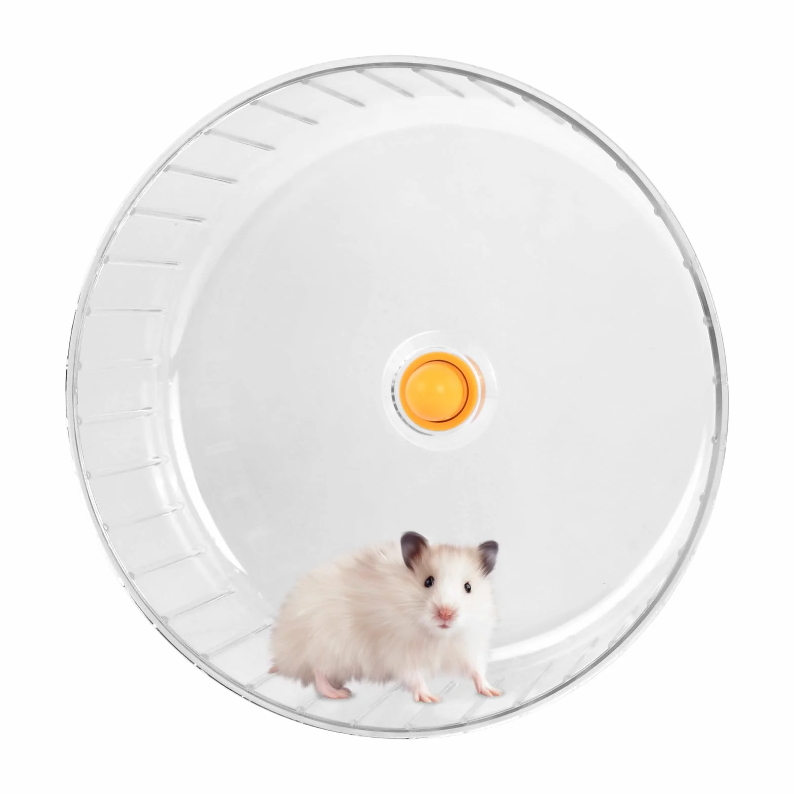 Ruota Criceto Silenziosa, 17 cm Dual-Bearing Criceto Esercizio Ruotas Tranquillo Spinning, Ruotas da Corsa per Criceti, Plastica Ruota da Corsa Trasparente per Gerbilli, Roditori, Topi，Orso d'oro