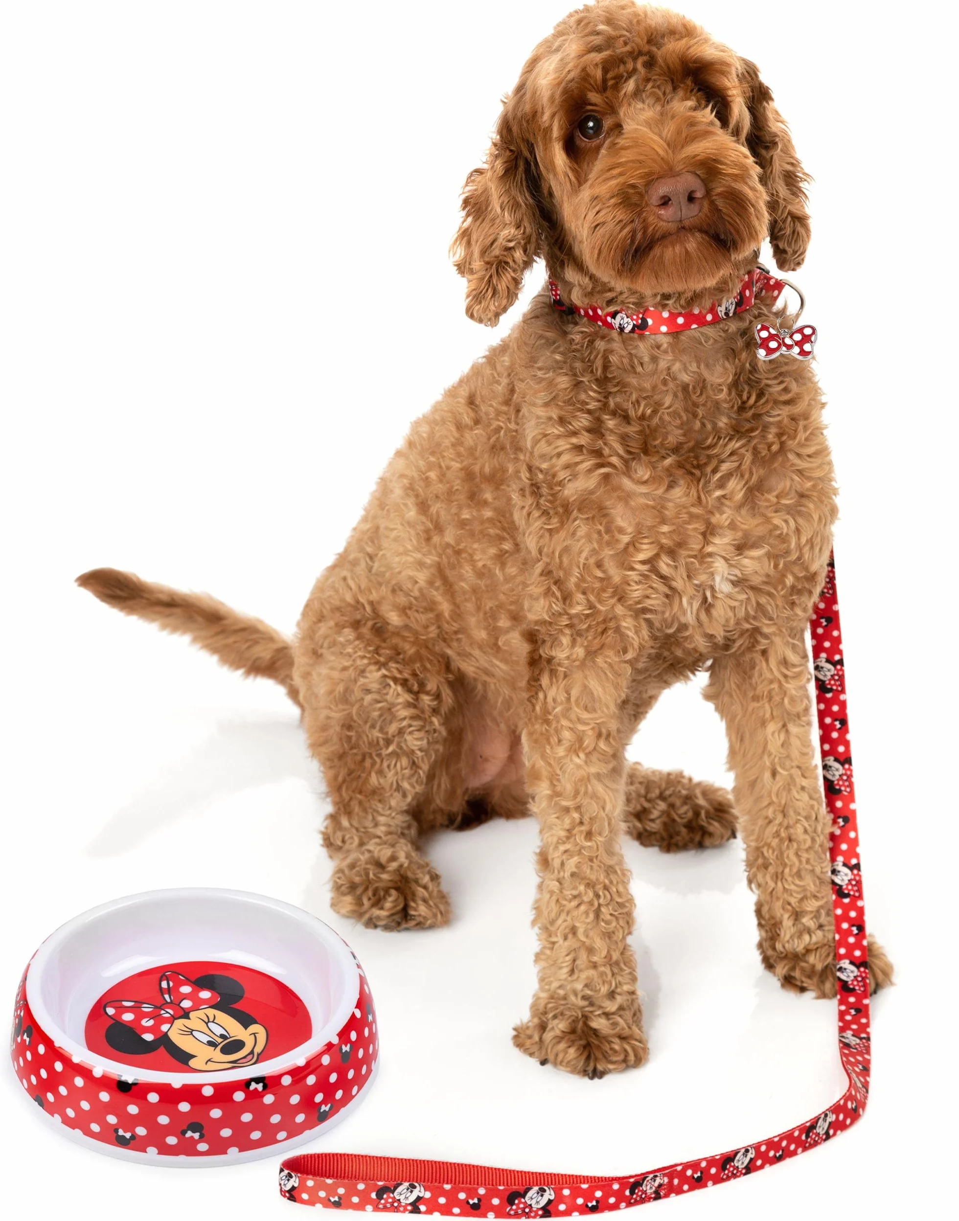 Disney Minnie Mouse Pets Set Regalo Ciotola Guinzaglio Collare