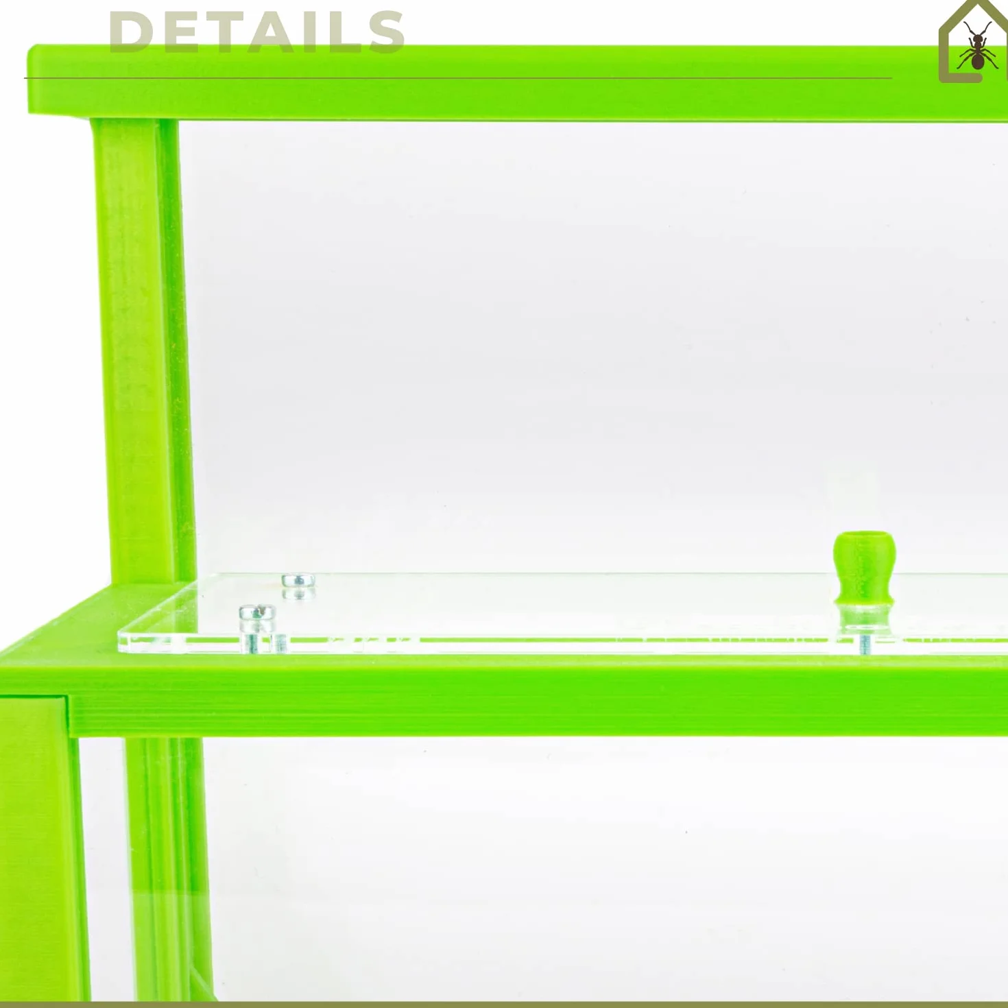 AntHouse - Formicaio Naturale di Sabbia 3D Verde | Kit L (Sandwich + Cassa di Foraggiamento) | Formiche Incluse con Regina