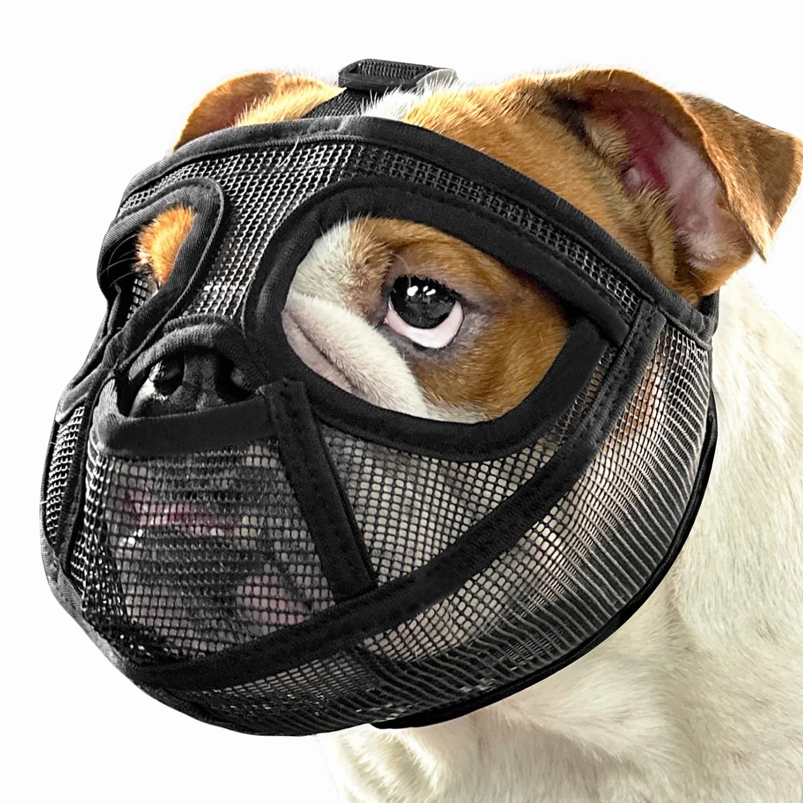 Mayerzon Museruola corta per cani bulldog francese con design completo per evitare di mordere, museruola morbida per cani in rete per Shih Tzu Pug Bulldog inglese per toelettatura a piedi, consente di