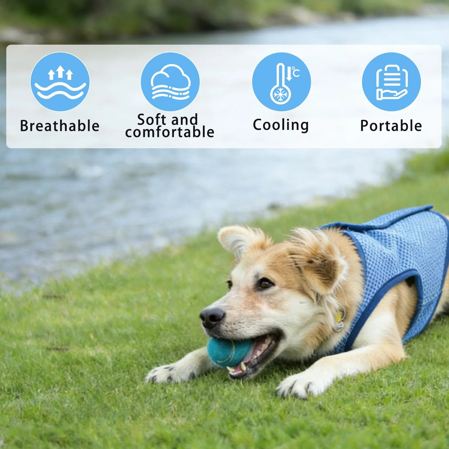 Maglia Refrigerante Cane, Traspirante Gilet Rinfrescante Cane, Fresco e Confortevole Gilet Refrigerante per Cani, Cappotto Rinfrescante Animale, per L'estate, Animali Domestici di Tutte le Taglie (M)