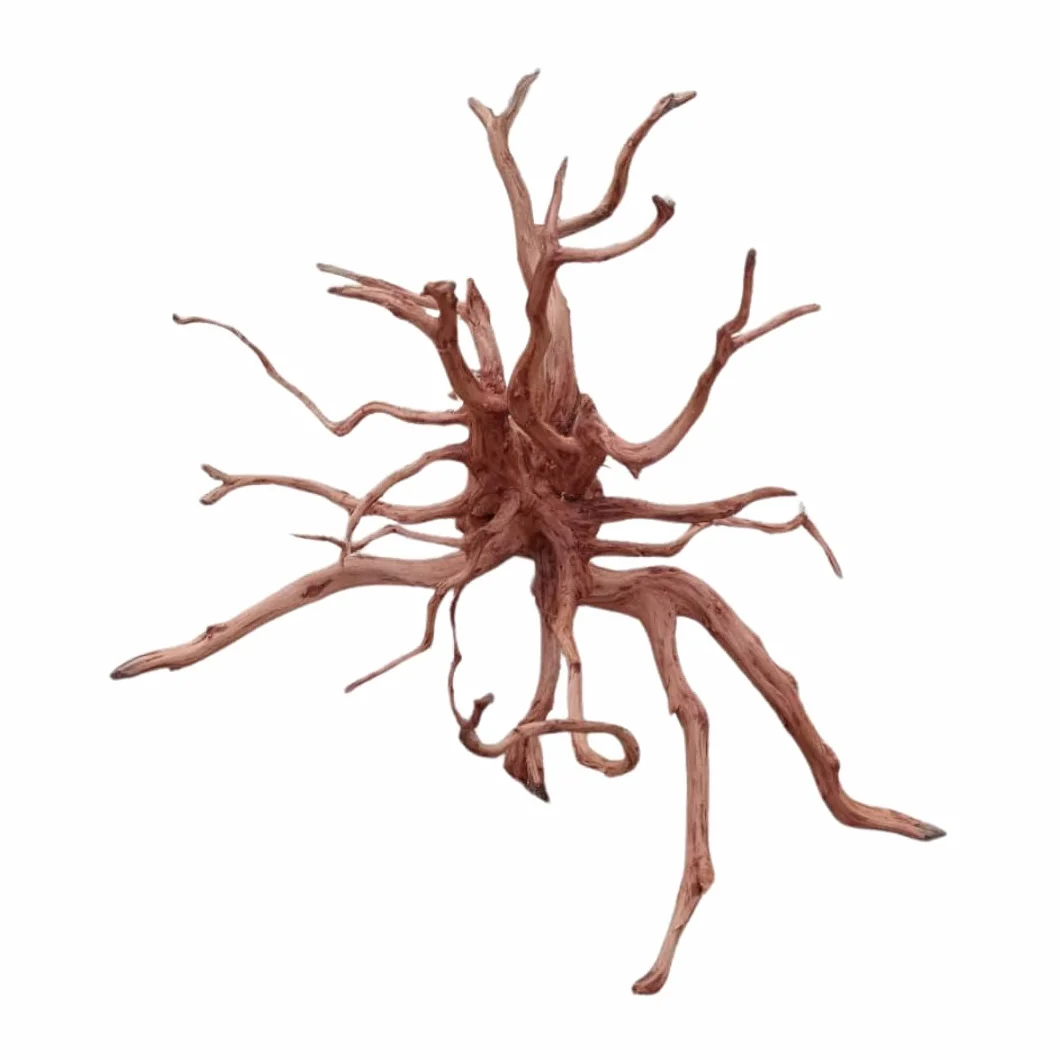 Legno Red Spider King Wood, Radice Decorativa per Acquario, Terrario, Paludario M 30-40 cm