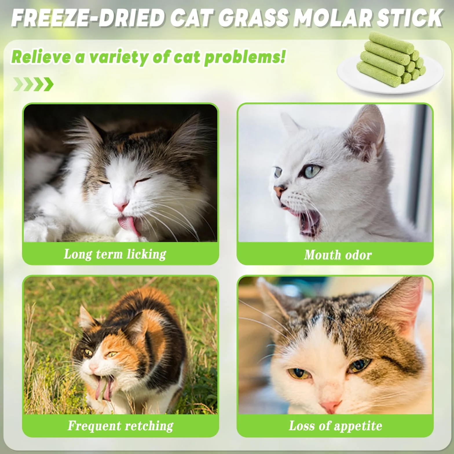 Bastoncini di Erba Gatta, 12 Pcs Stick Gatto Snack, Snack Liofilizzato con Erba Gatta per la Pulizia dei Denti, Promuovere l'assorbimento dei Nutrienti e Migliorare la Digestione