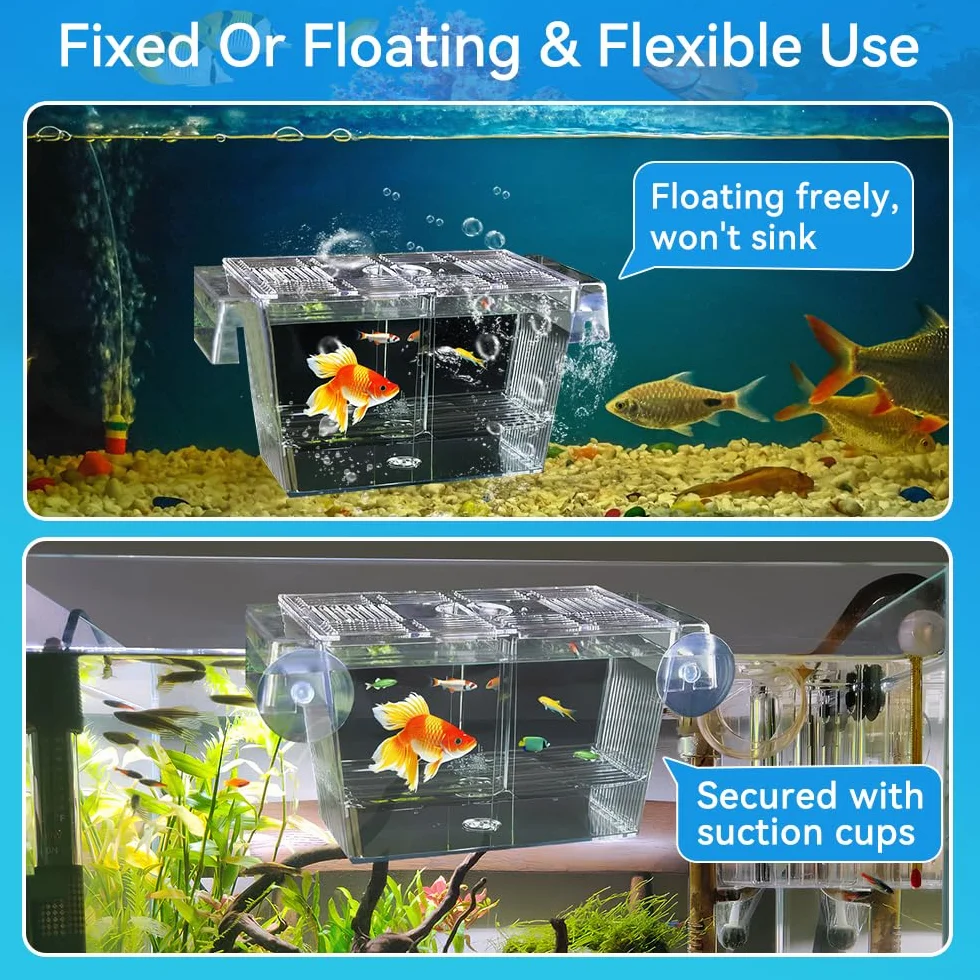 Scatola di Allevamento per Pesci o Acquario Box Isolamento in Acrilico per Pesci Scatola di Isolamento per Acquario per Pesce，con 5 Ventose, per Proteggere gli Avannotti, 23x9.8x9.5cm