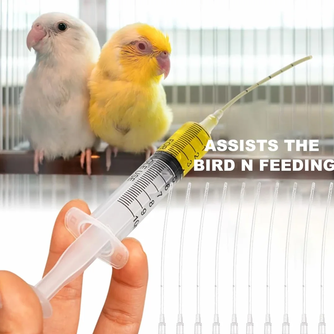 10 Pz Alimentatore Pappagalli Trasparente Uccelli Alimentazione Tubi Veloce Alimentazione Tubo Siringa per Bambino Pet Uccelli