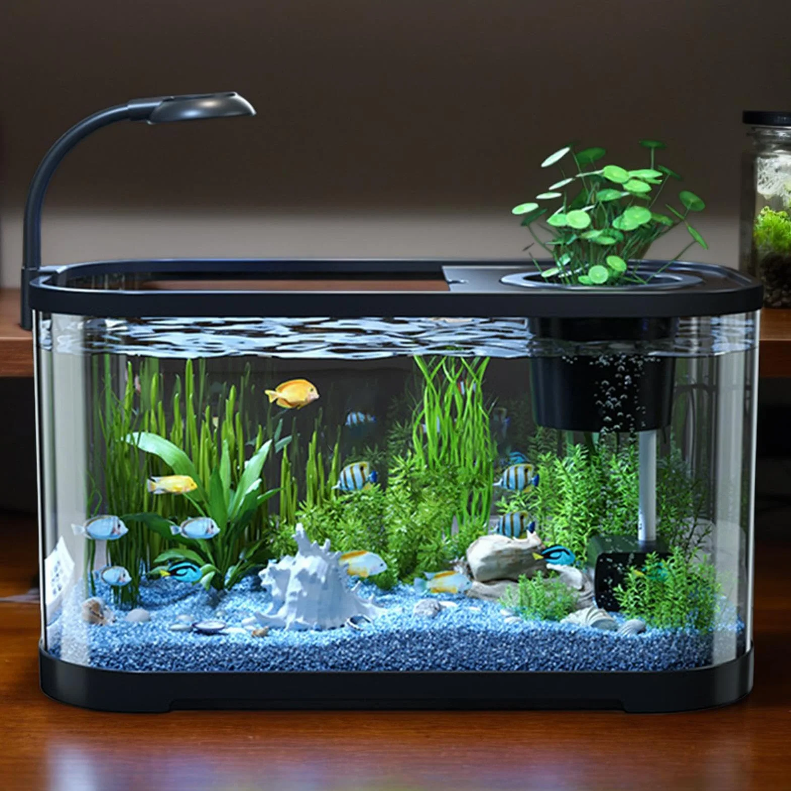 Kit Iniziale Per Acquario, Acquario Silenzioso, Acquarios Decorativo Per Tartarughe Terrestri, Acquarios Per Principianti Da Scrivania, Vaso Decorativo Per Betta