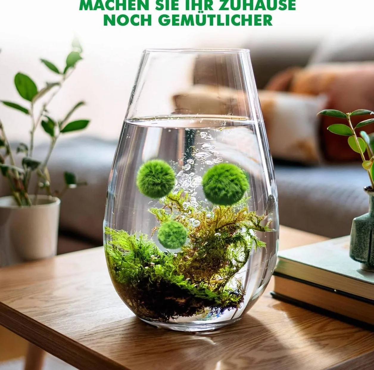 10 pezzi + 1 sfere di muschio per acquario, Cladophora aegagropila linneiae muschio, piante acquarie, muschio, decorazione per acquario, piante vere, marimo, moosball (2-3 cm)