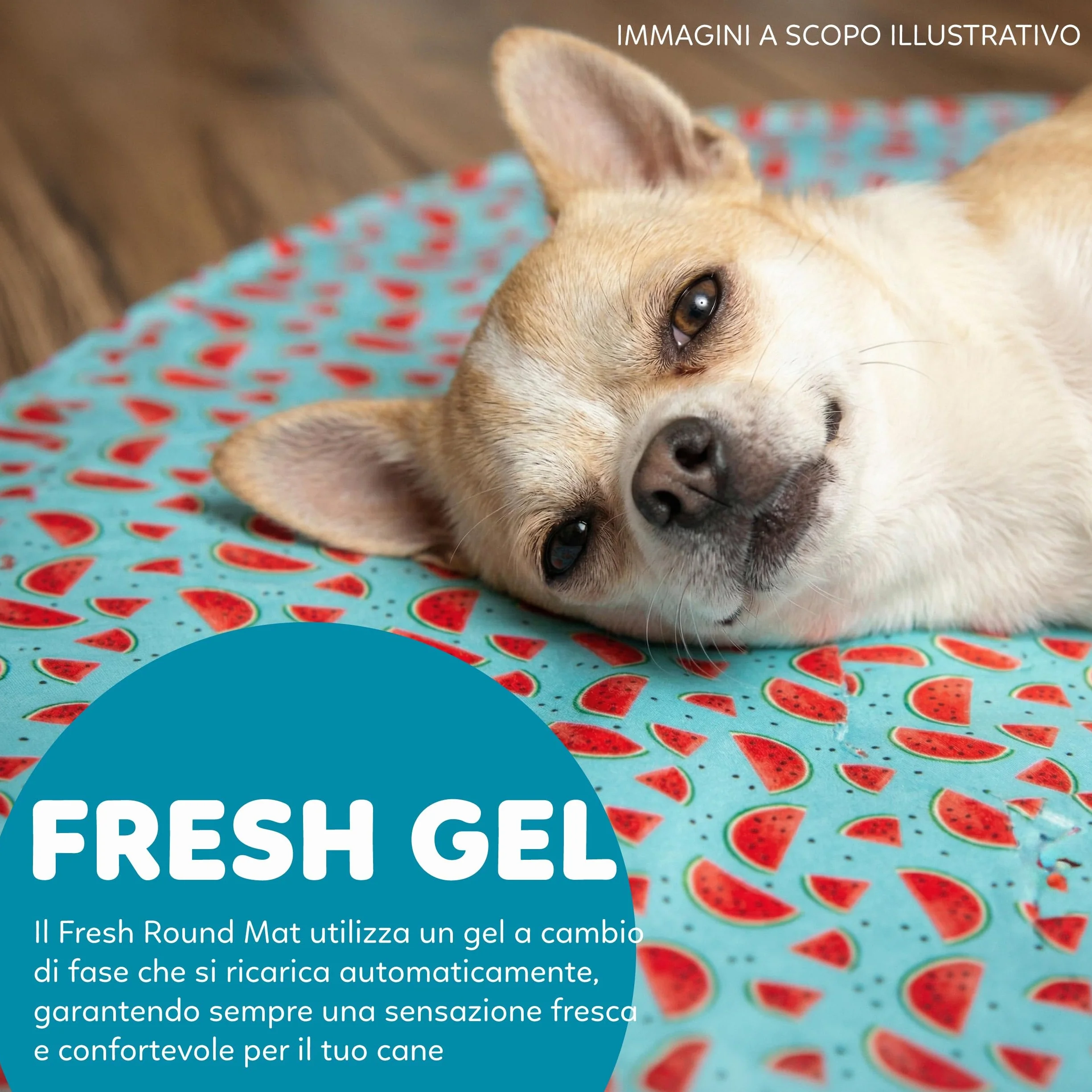 AQPET Tappetino Refrigerante Rinfrescante per cane forma Tonda, Gel non Tossico, sistema di Auto Raffreddamento, Fantasia Fruit, Misura Diametro 60 Cm