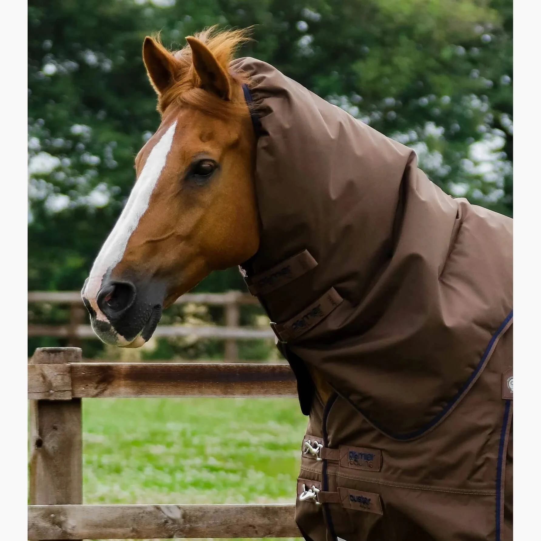 Coperta impermeabile per cavalli con copricollo Premier Equine Buster 400 g