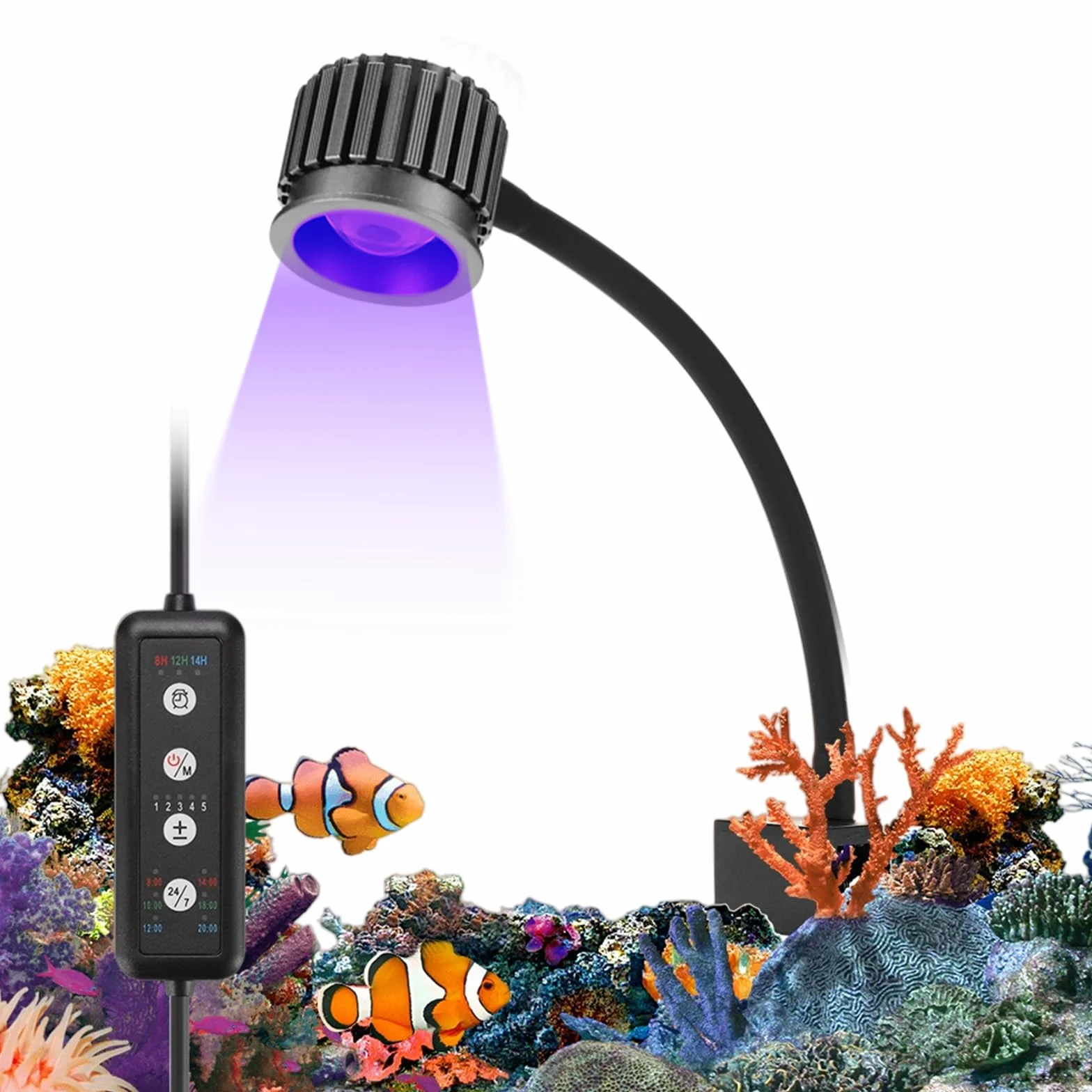Lampada a morsetto LED 8W per acquario 24/7, 5 livelli luminosità 3 timer