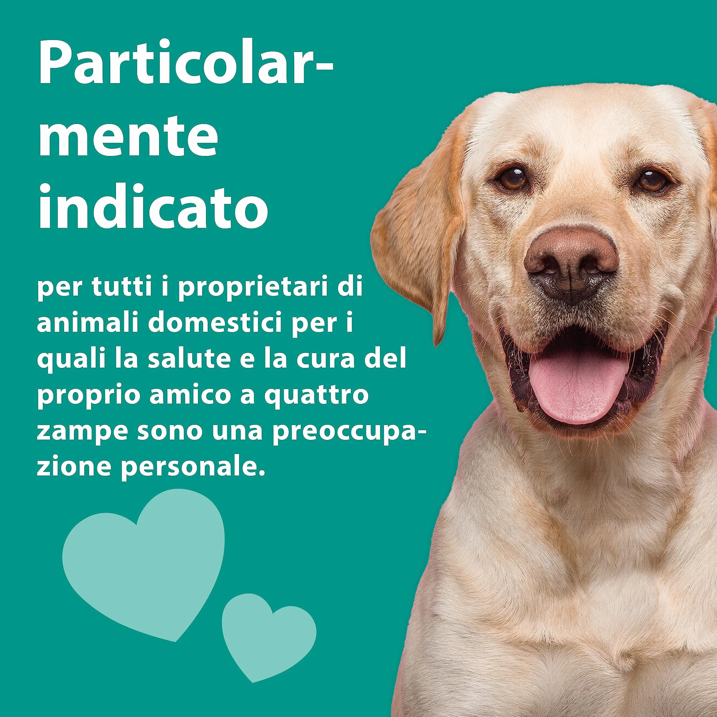 emmi-pet 1x Orozyme gel dentale per cani e gatti con funzione autopulente I Dentifricio per cani