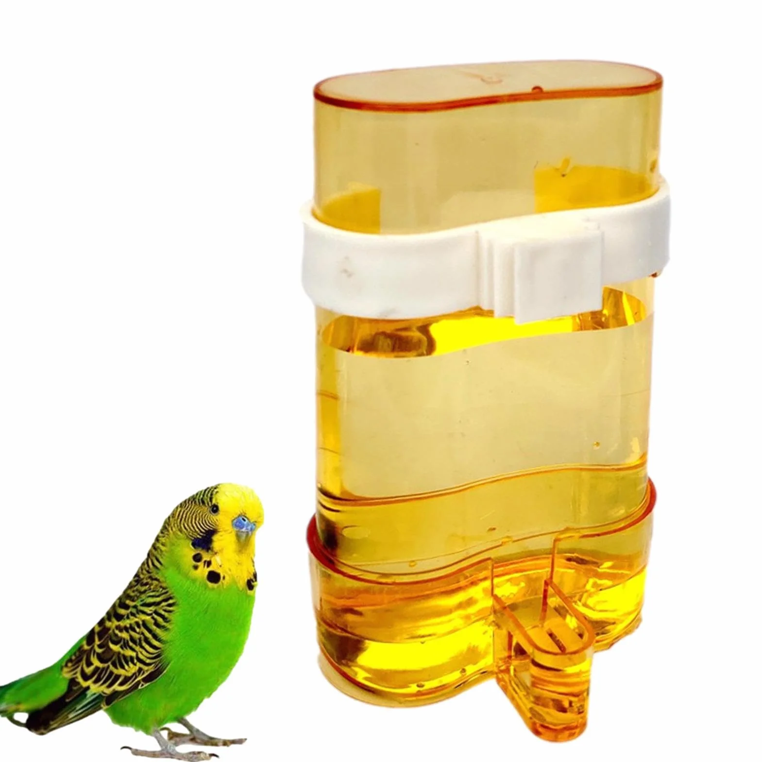 Distributore di Acqua per Uccelli, igienico, Trasparente, Automatico, 200 ml, per Pappagalli, Fringuelli, Calopsiti