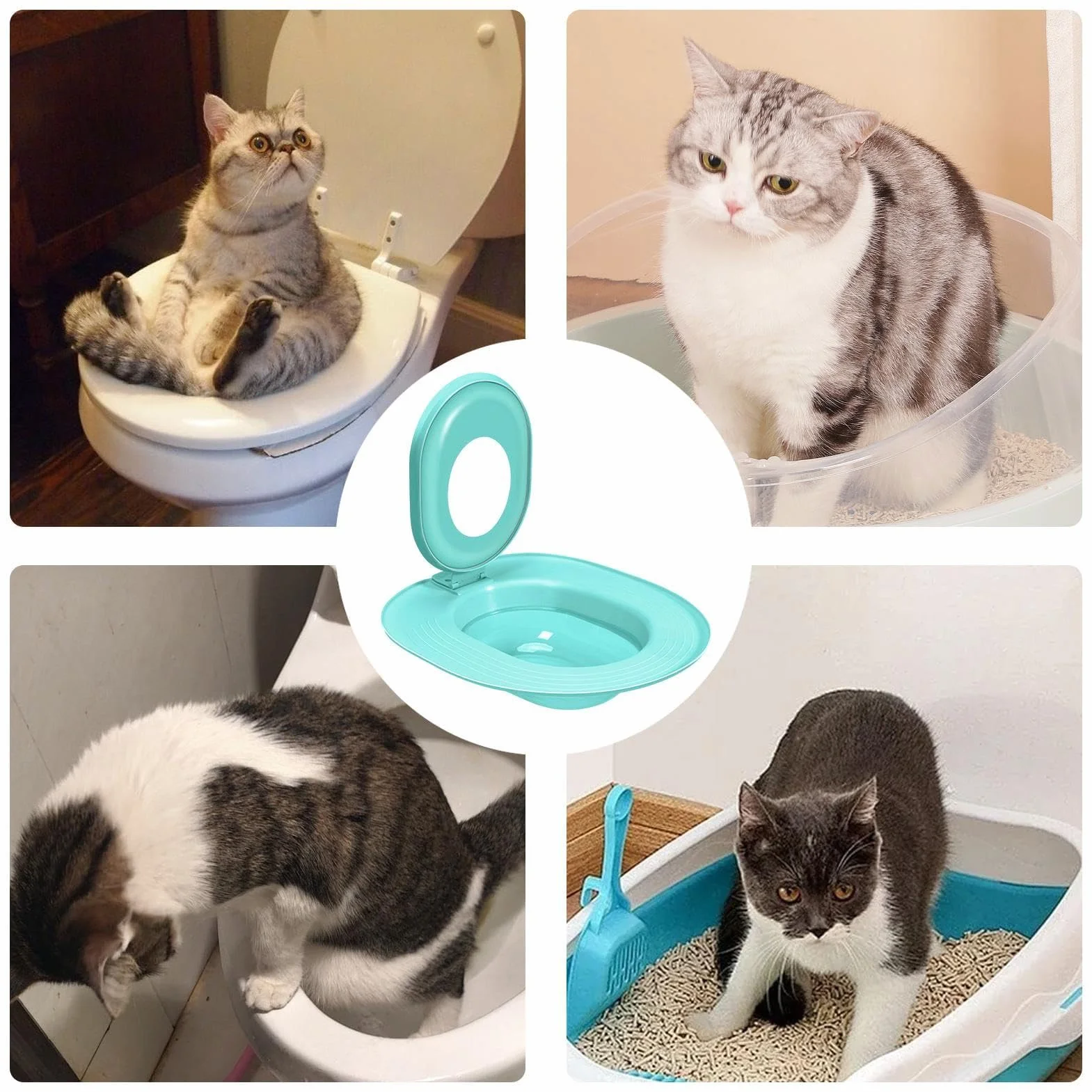 Cat Toilet Trainer Kit, Kitten Potty Teaching Seat, Leakproof Non-Stick Design, Easy-to-Use Toilet, 15.35x14.37 inches, Ideal for Apartment, Bathroom & House Training, Aqua Green