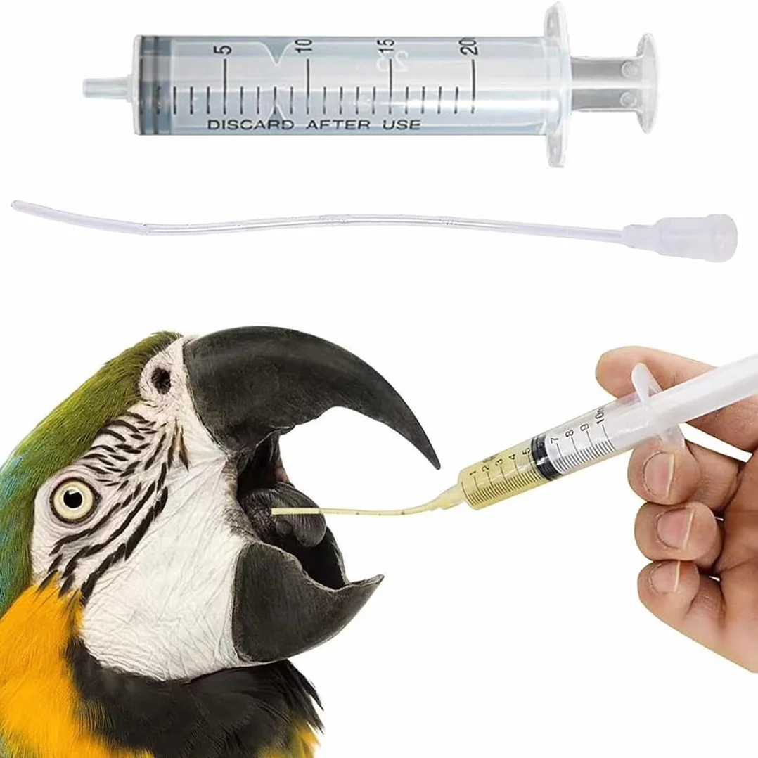 NJCXOLA 10 Pezzi Alimentatore Pappagalli, Inclusa 1 Siringa da 10 ml, Alimentatore Pappagalli Trasparente Uccelli, Alimentazione Tubi Veloce Alimentazione Tubo Siringa per Bambino Pet Uccelli