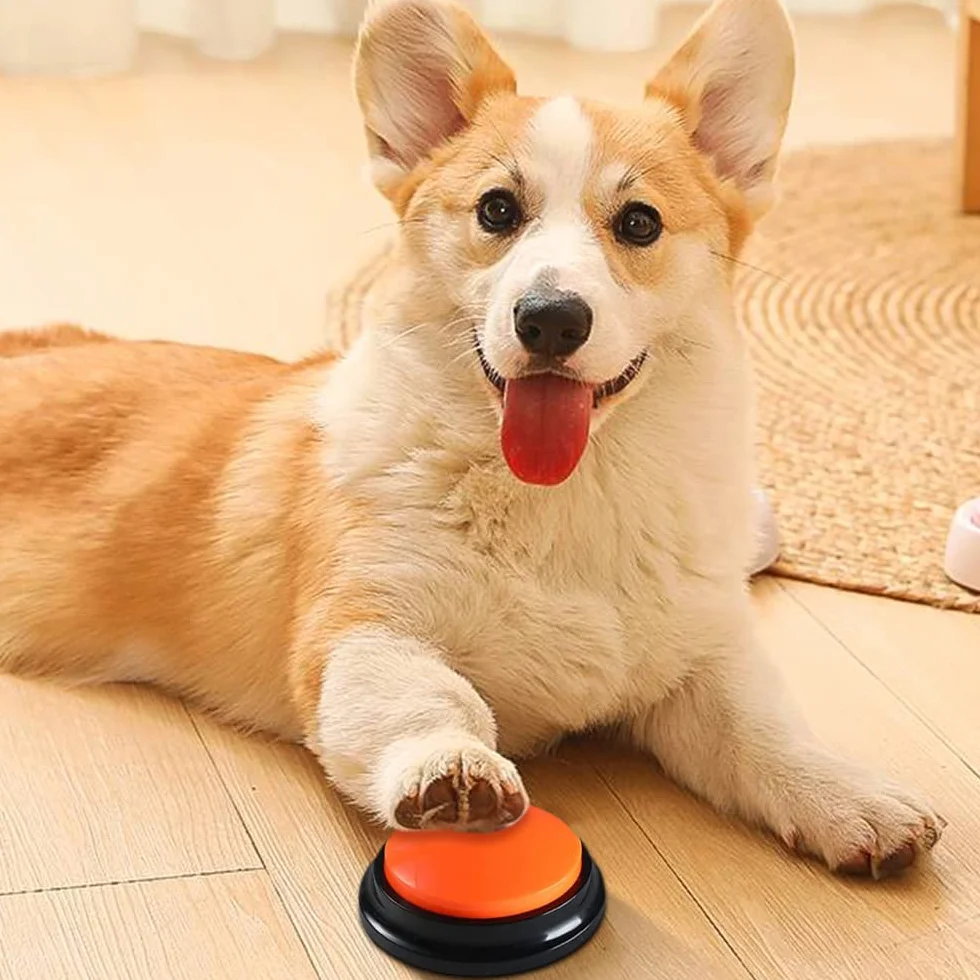 Pulsanti per Cani, 4 Pezzi Pulsanti per Cani Parlare, Buzzer con Funzione di Registrazione per Comunicazione, Giochi Interattivi per Cani Pulsante Addestramento degli Animali Domestici