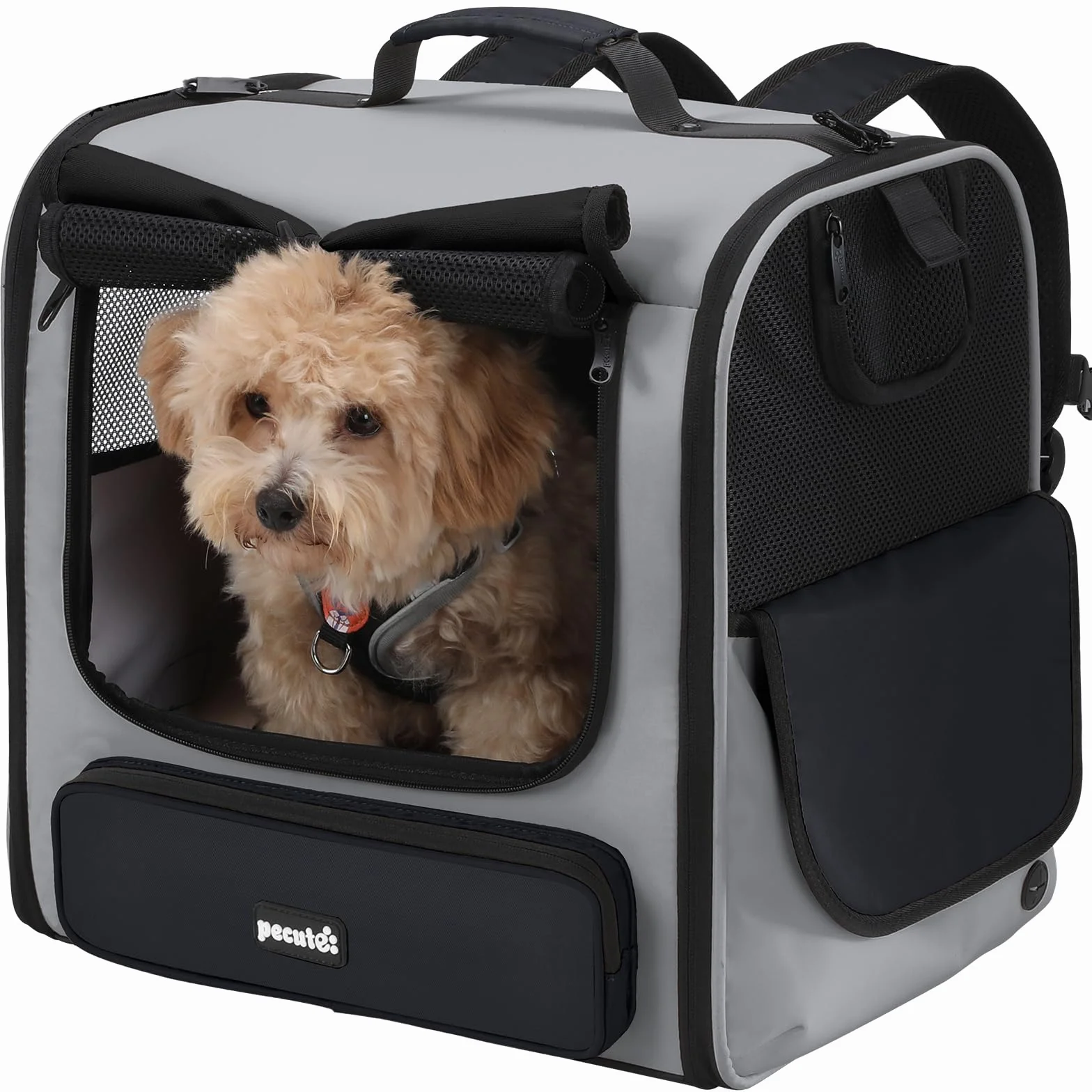 Pecute Cat Carrier Backpack Zaino Trasportino per Gatti e Cani Ampio Leggero Ventilato Ergonomico