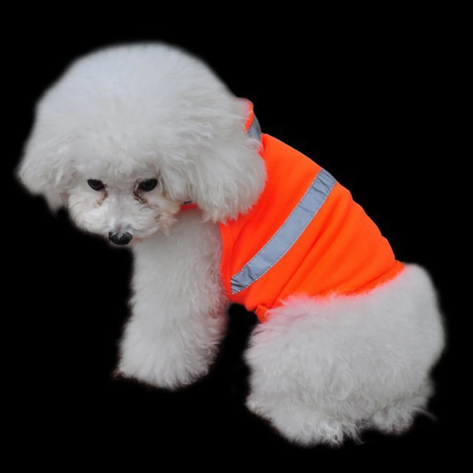 Gilet per cani a LED, gilet traspirante per cani da caccia, gilet di sicurezza per cani regolabile fluorescente, comodo accessorio per animali domestici per caccia, passeggiate, allenamento attività