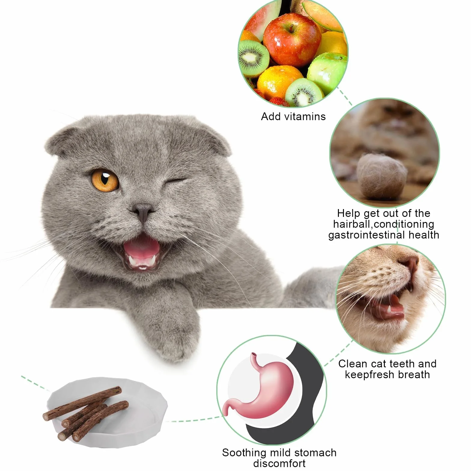 20 Pezzi Bastoncino di Erba per Gatti Naturali, Gatto Giocattoli Matatabi Erba