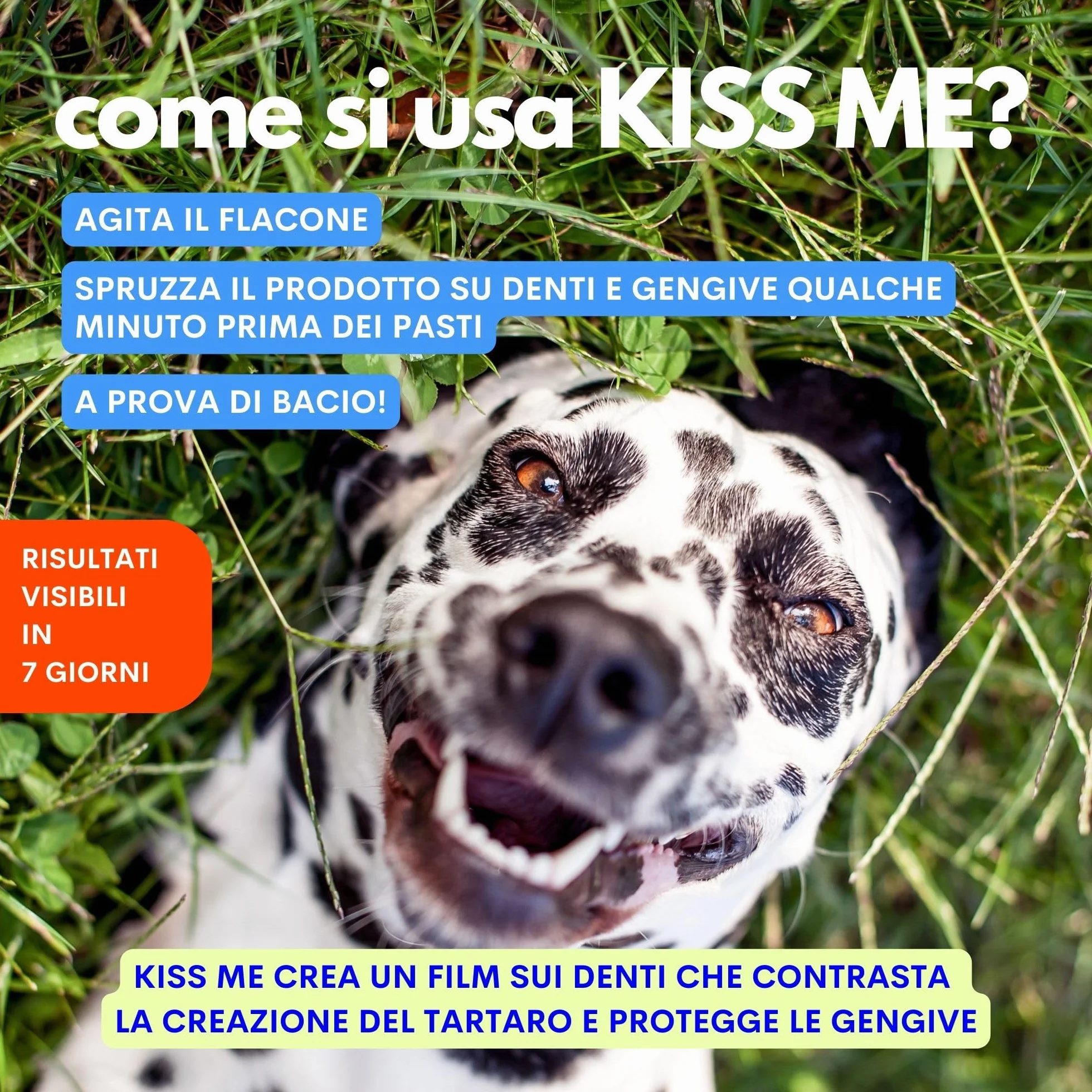 JAMPY Kiss Me Dentifricio Spray Per Cani 100 ml Anti-Alitosi Tartaro Placca