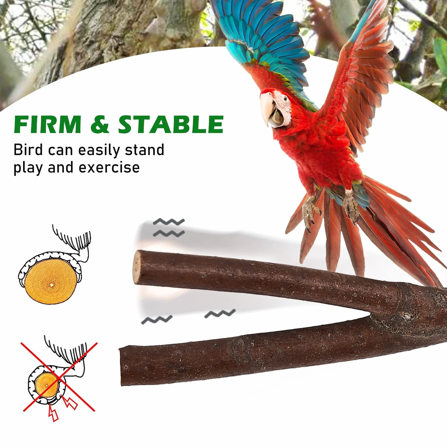 Posatoi per Uccelli, 8 Pz in Legno Naturale - Giocattolo per Pappagalli, Trespolo, Persico - Supporti per Cacatua, Cocorite, Fringuelli